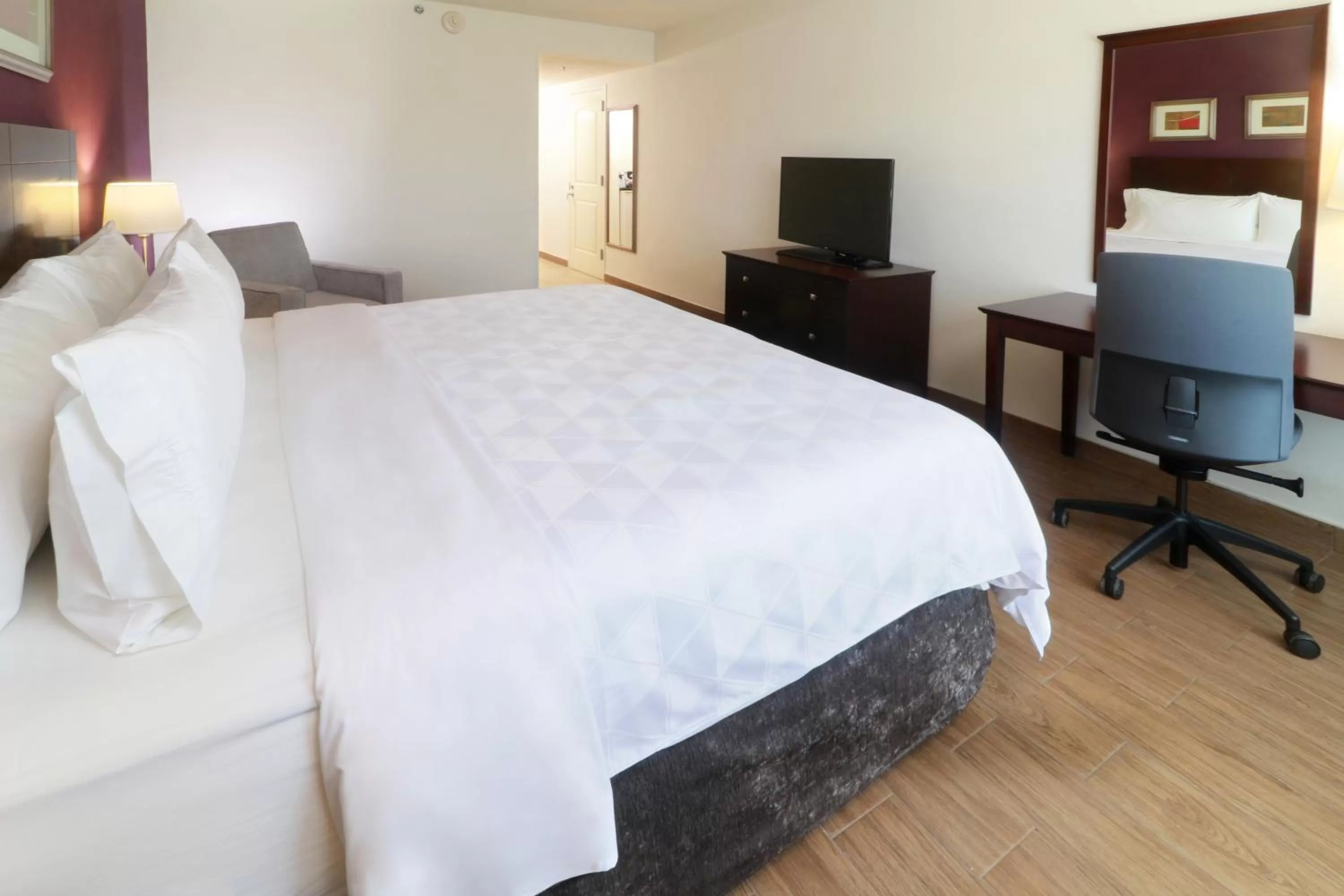 TV and multimedia, Bed in Holiday Inn Reynosa Industrial Poniente by IHG