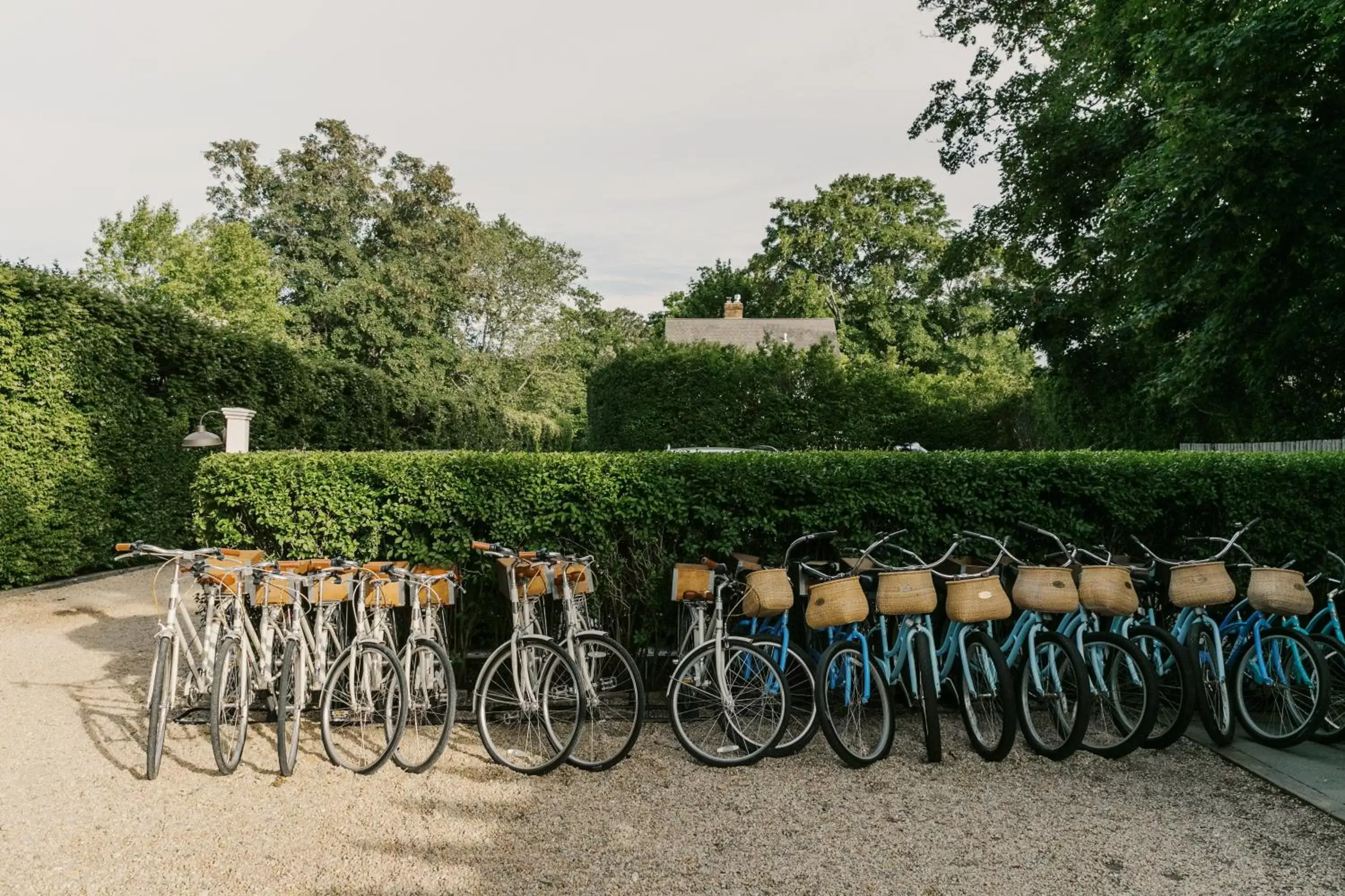 Cycling in The Roundtree, Amagansett