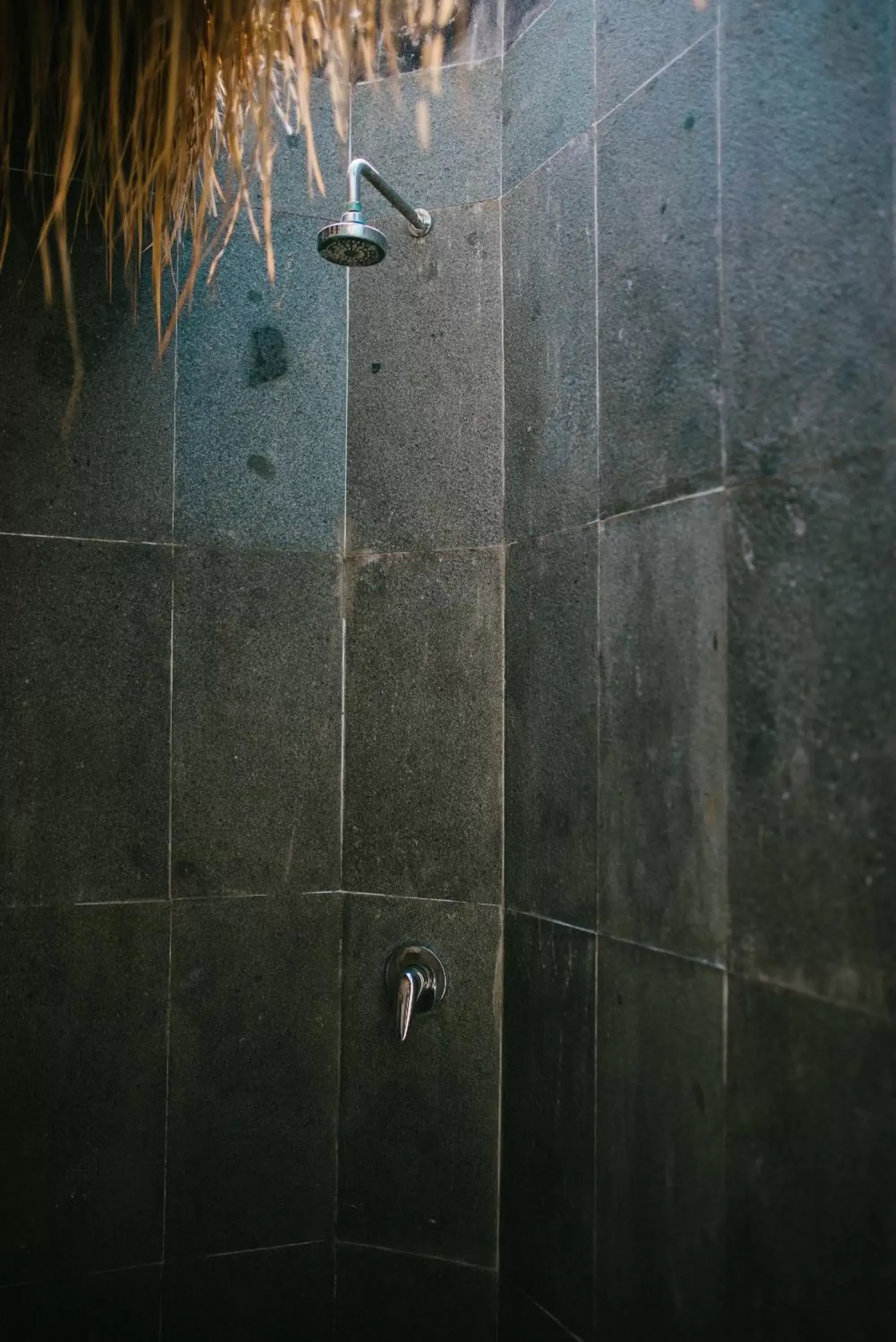 Shower, Bathroom in Le Nusa Beach Club