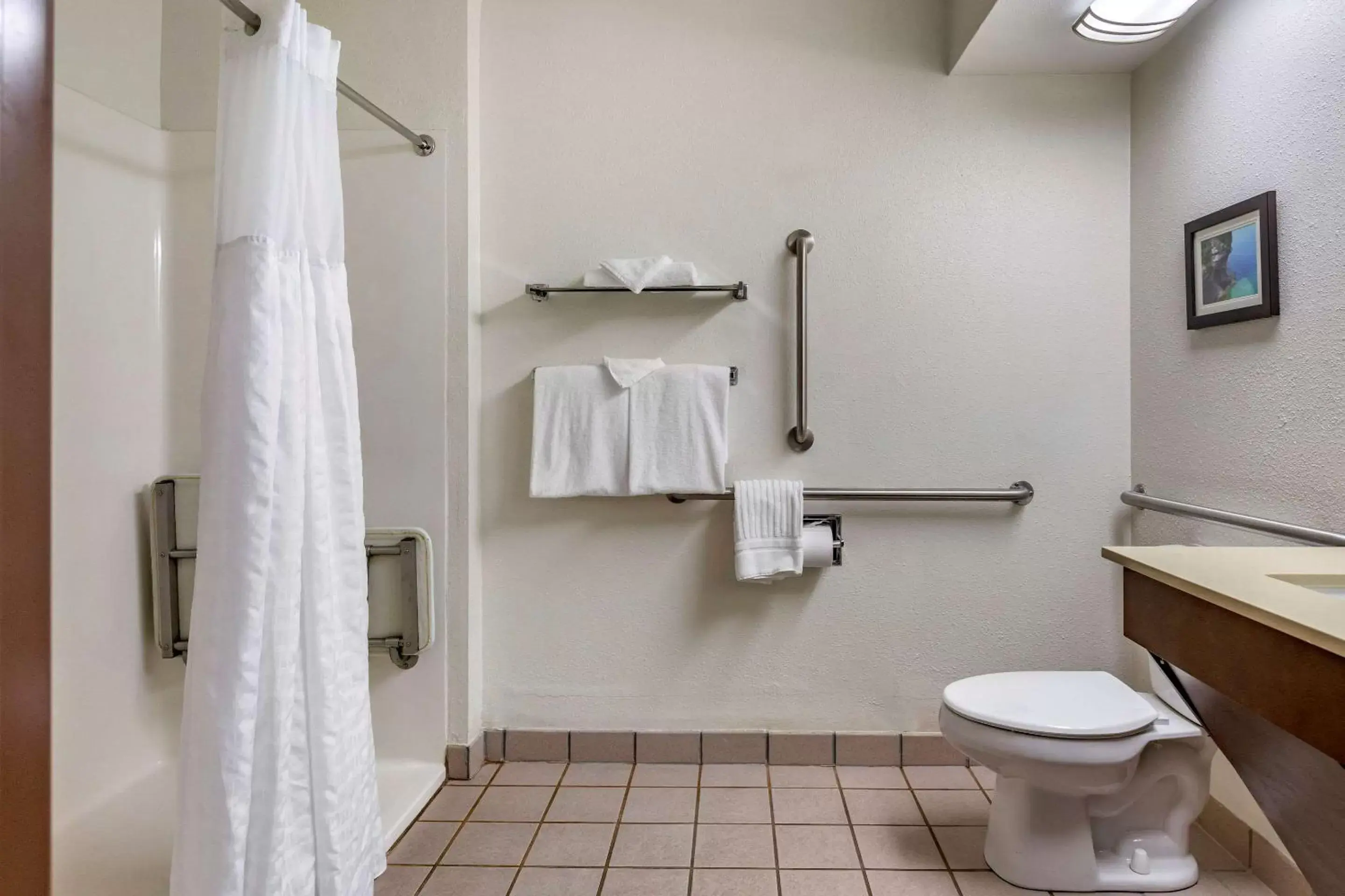 Bathroom in Comfort Inn Okemos - East Lansing