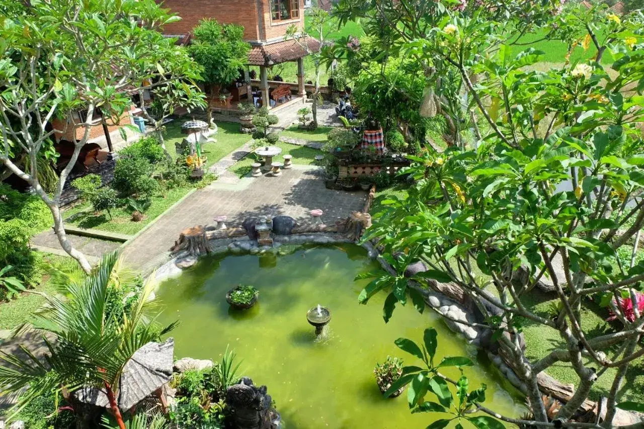 Pool View in Ganesha Ubud Inn
