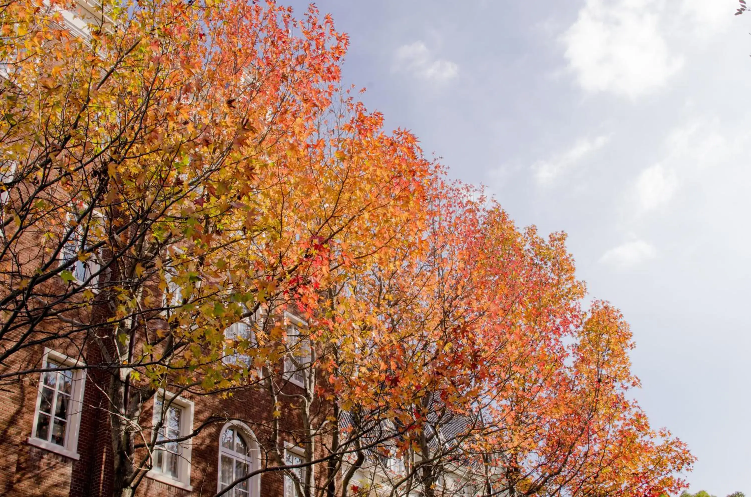 Autumn, Natural Landscape in Watermark Hotel Nagasaki Huis Ten Bosch