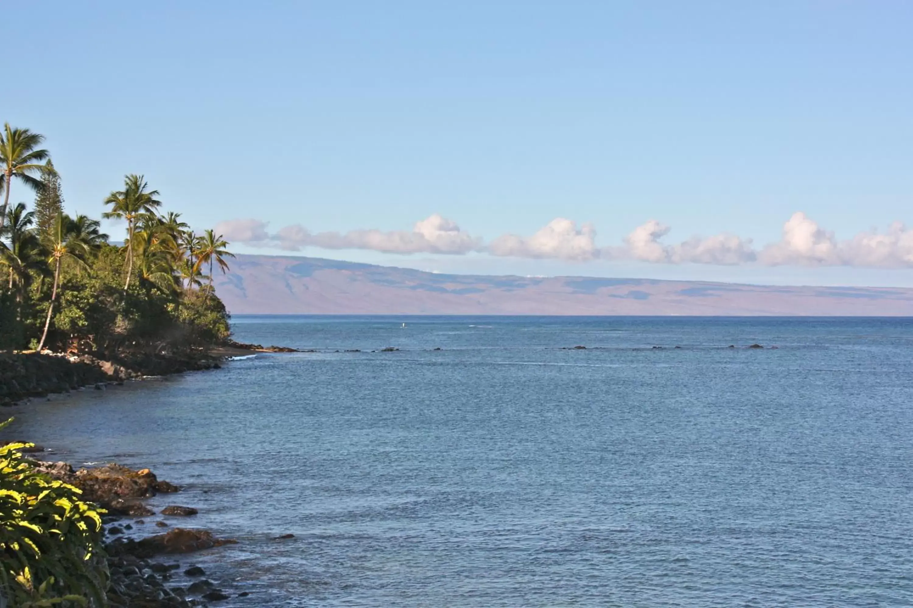 View (from property/room) in Maui Beach House B & B