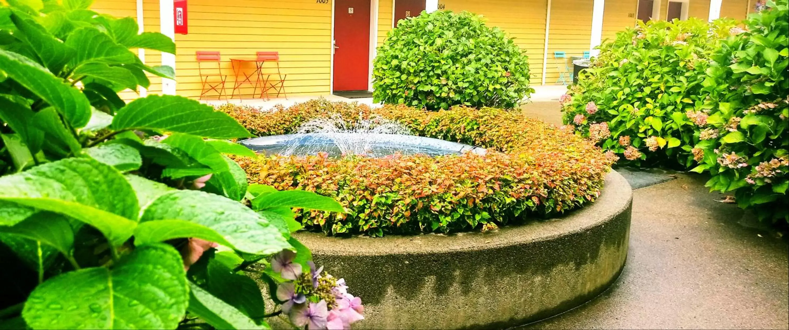 Patio in GuestHouse Inn Enumclaw