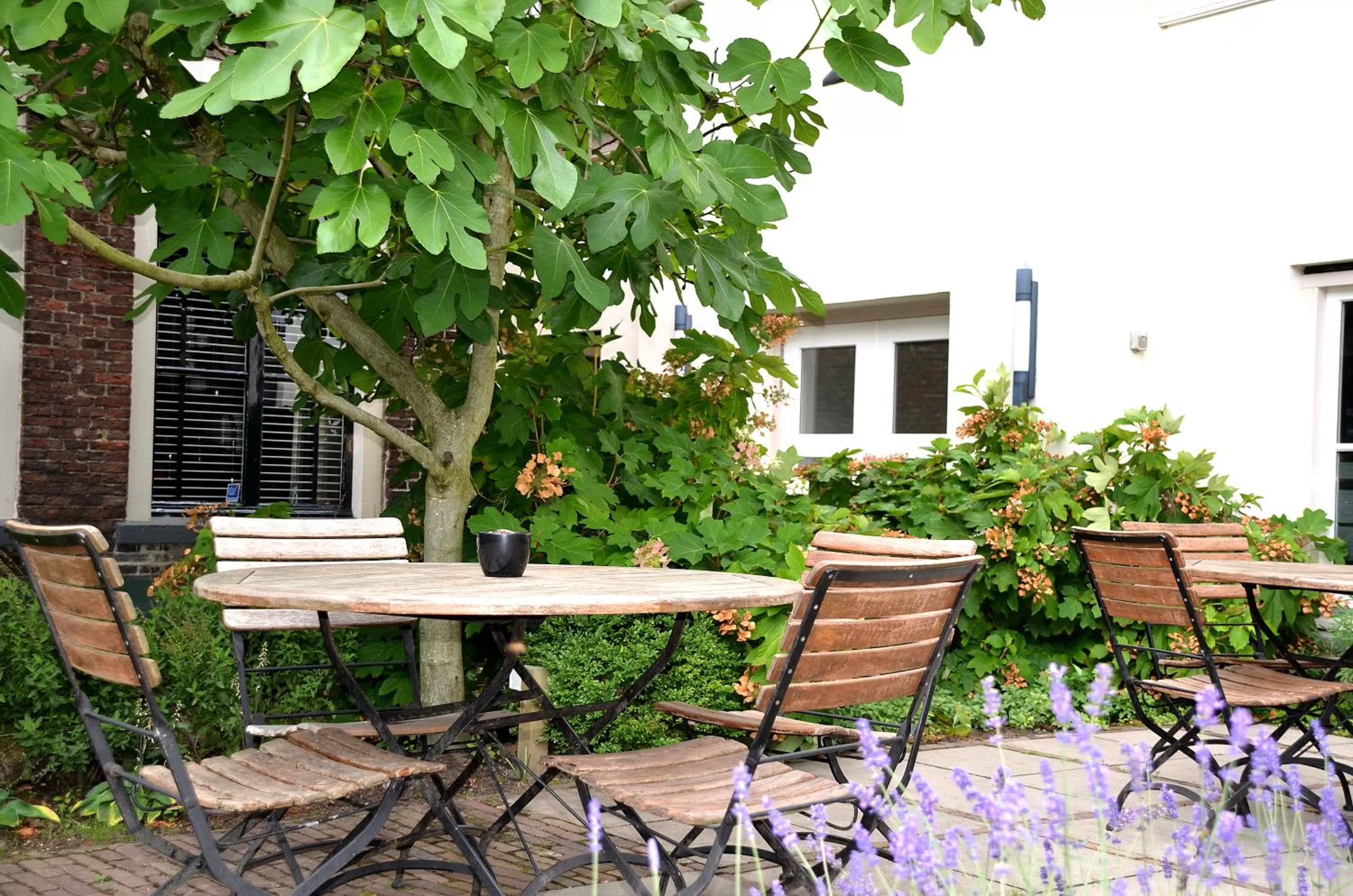 Garden in Hotel de Tabaksplant