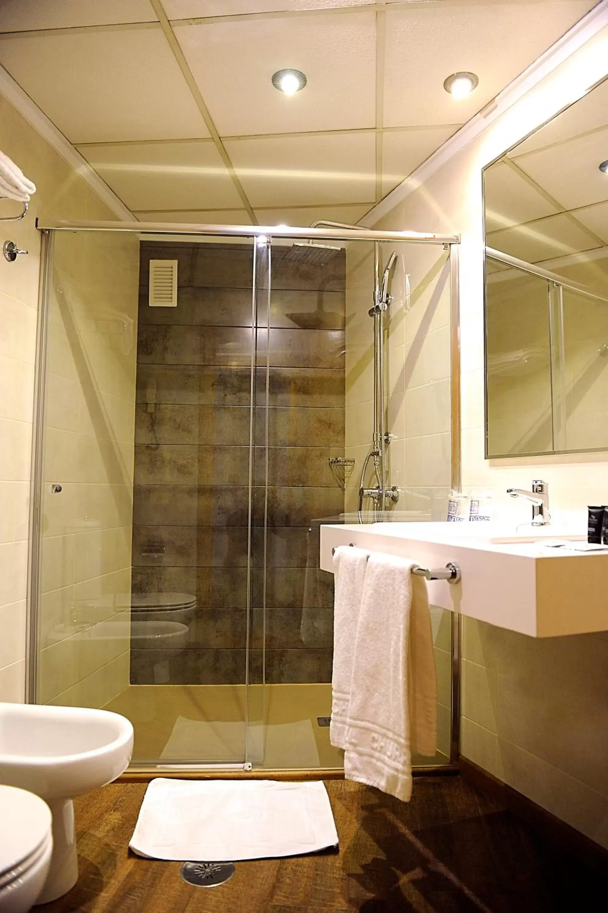 Shower, Bathroom in Hotel El Churra