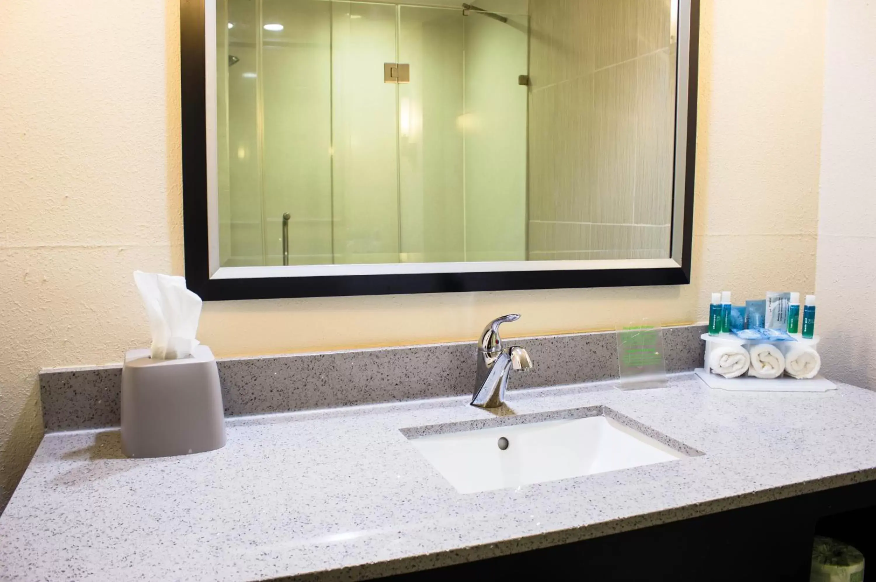 Bathroom in Holiday Inn Express & Suites Havelock Northwest New Bern, an IHG Hotel