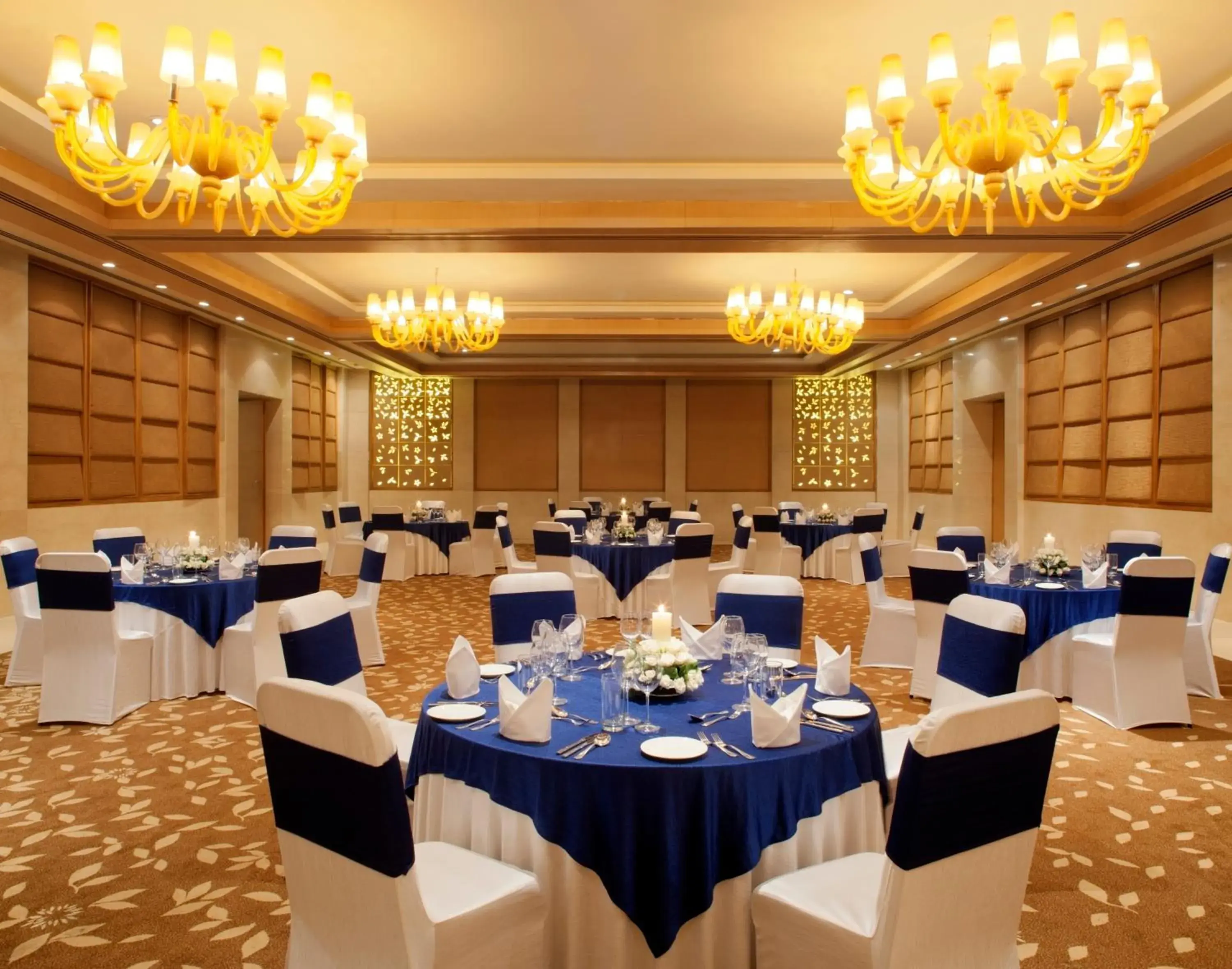 Banquet/Function facilities, Banquet Facilities in Radisson Blu Hotel New Delhi Dwarka