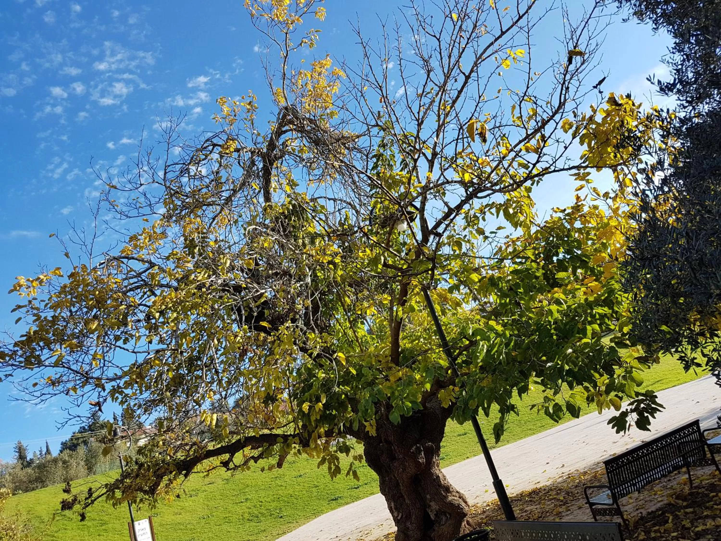 Hiking in Lishansky Since 1936