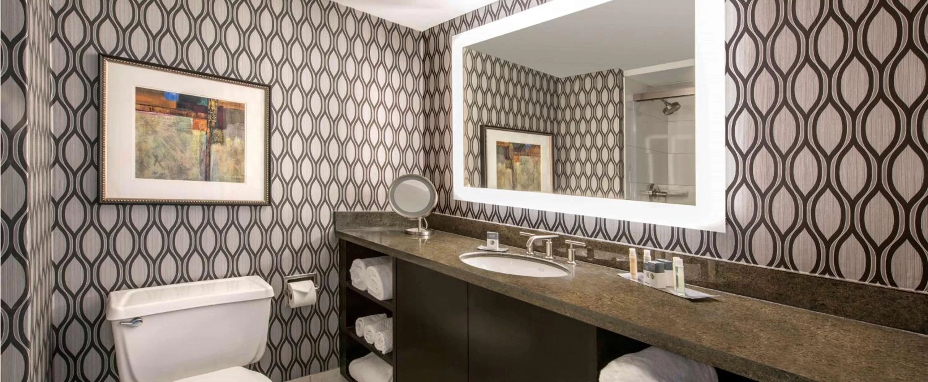 Bathroom in DoubleTree by Hilton Chicago Schaumburg