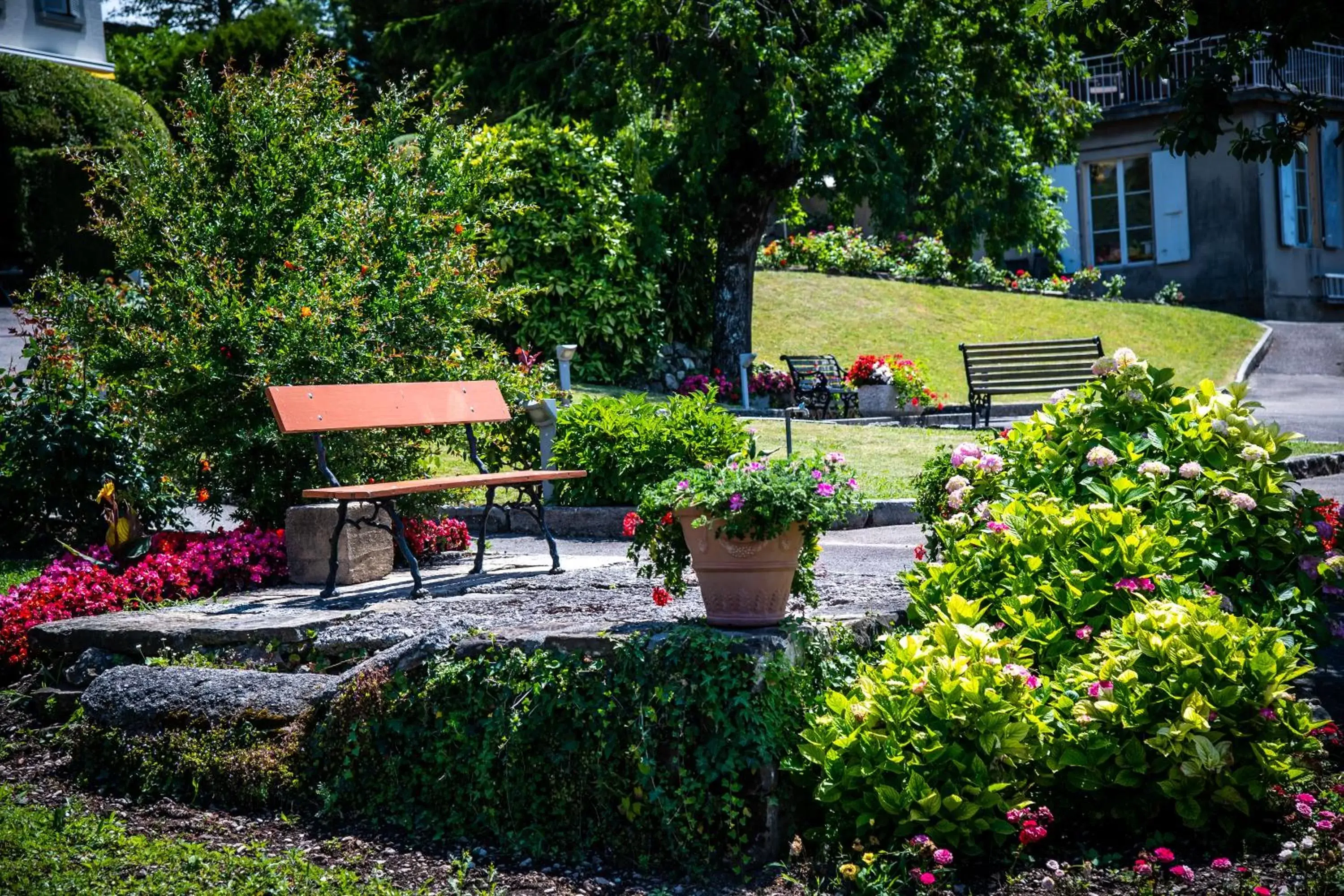 Garden in Hôtel Bon Rivage