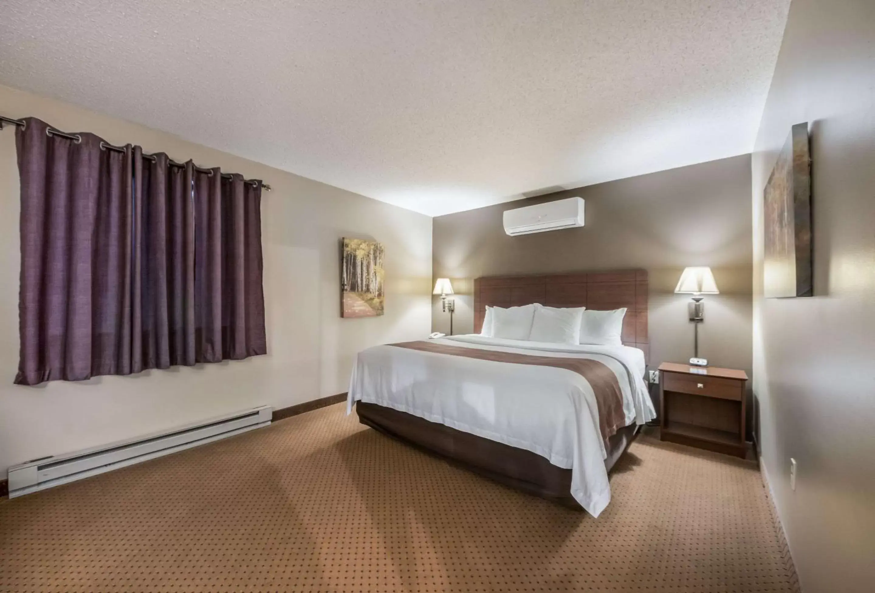 Photo of the whole room, Bed in Quality Inn & Suites