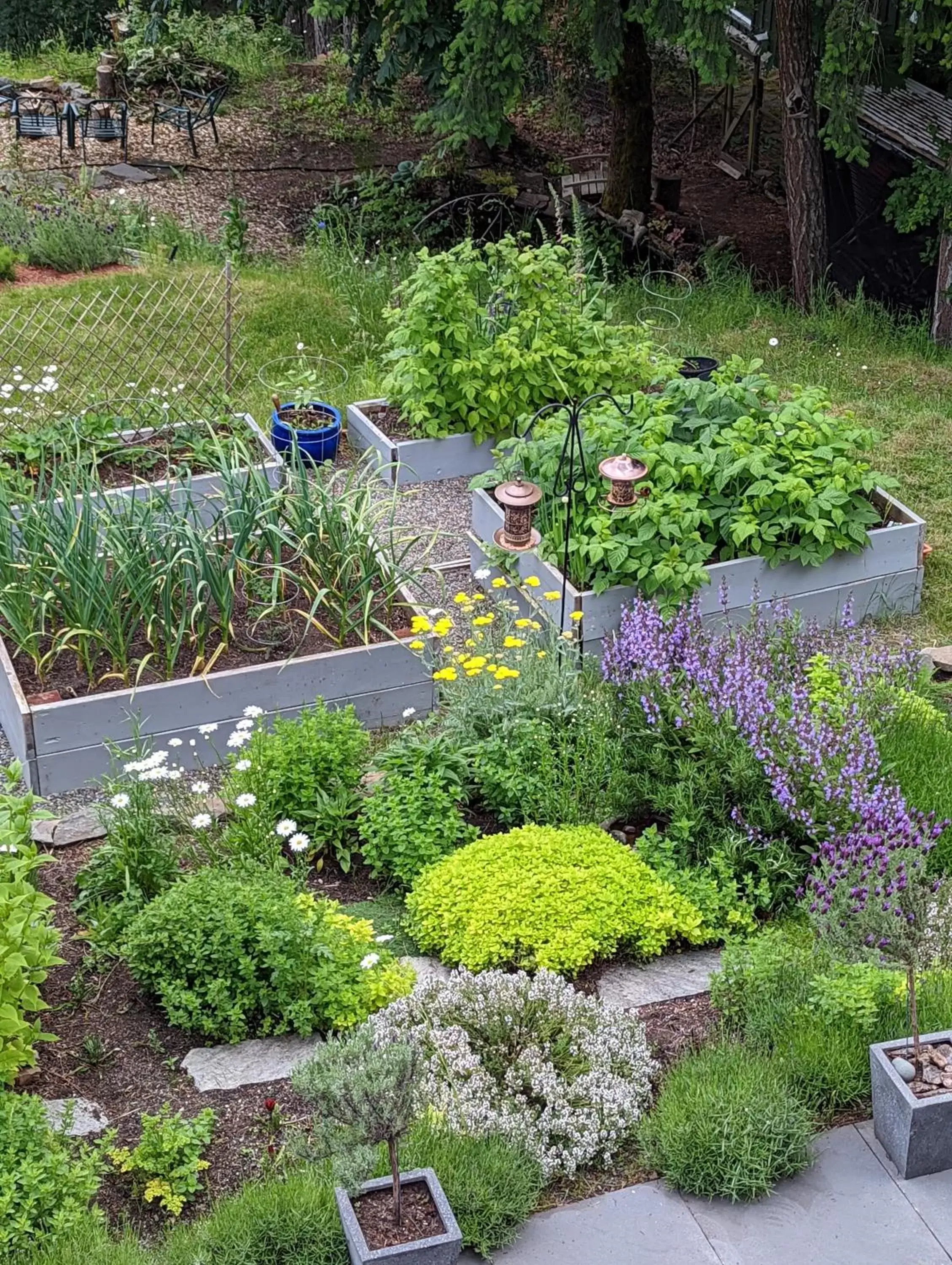 Garden in Maple Rise Guesthouse