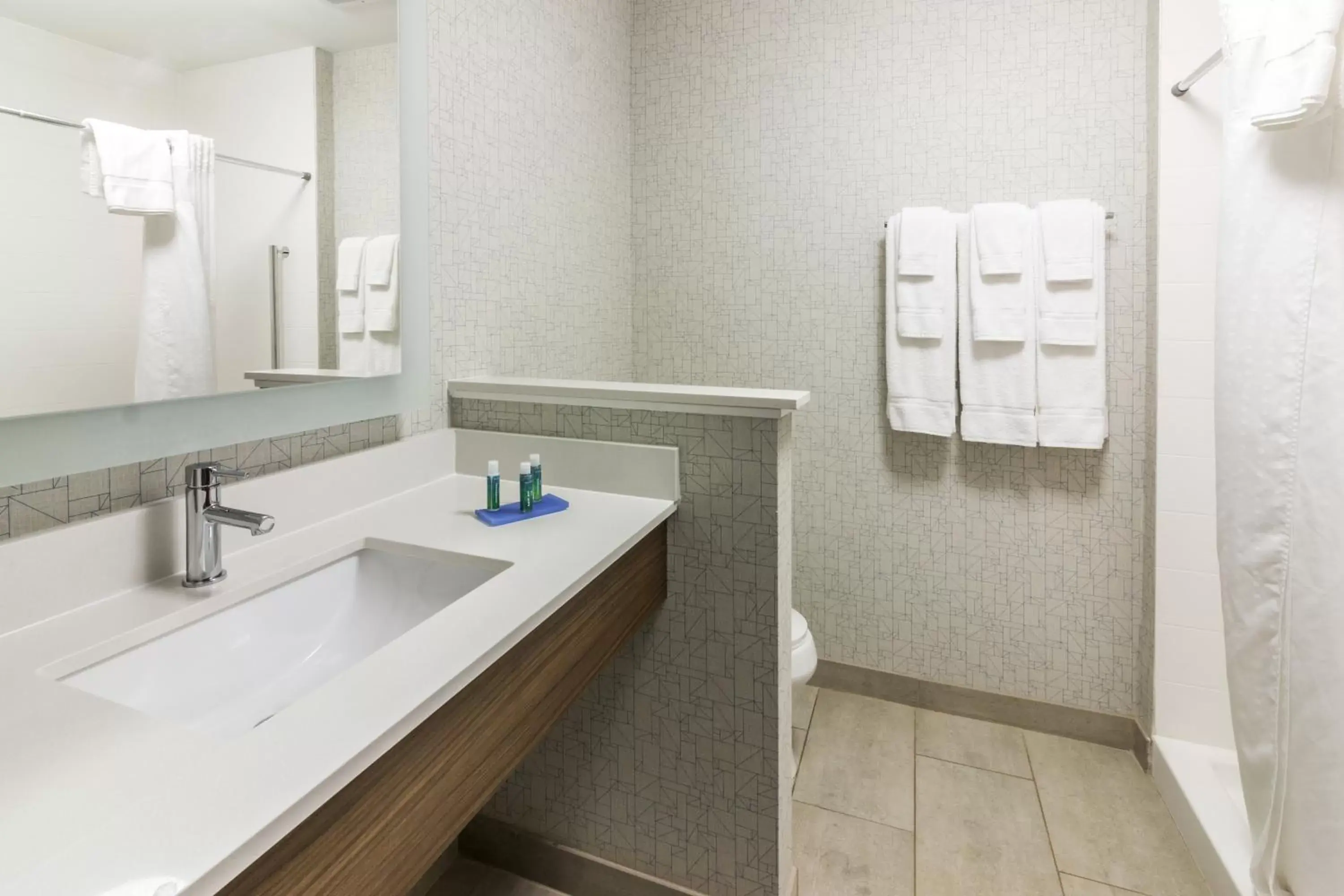 Bathroom in Holiday Inn Express - Villa Rica, an IHG Hotel