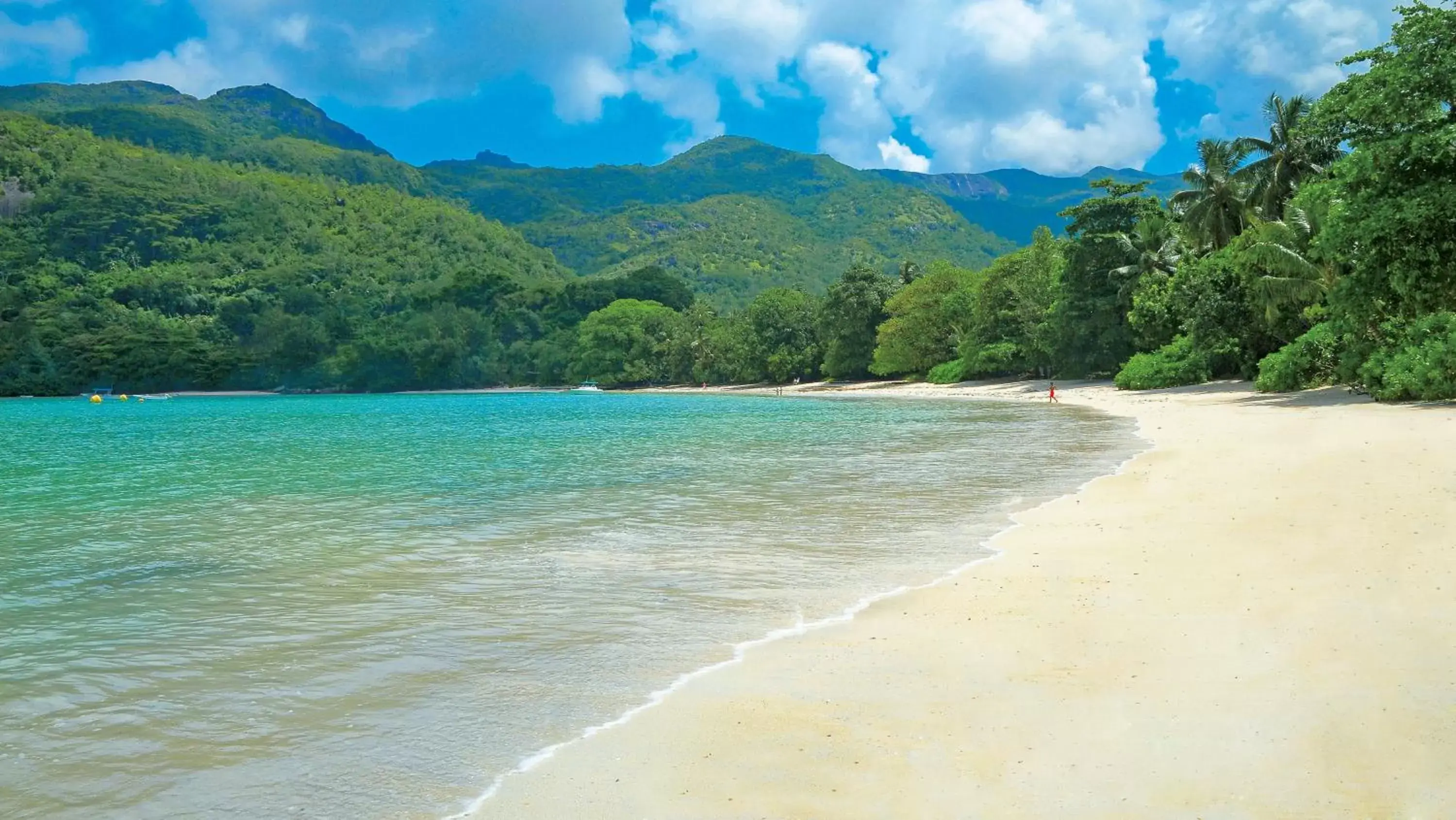 Beach in Constance Ephelia