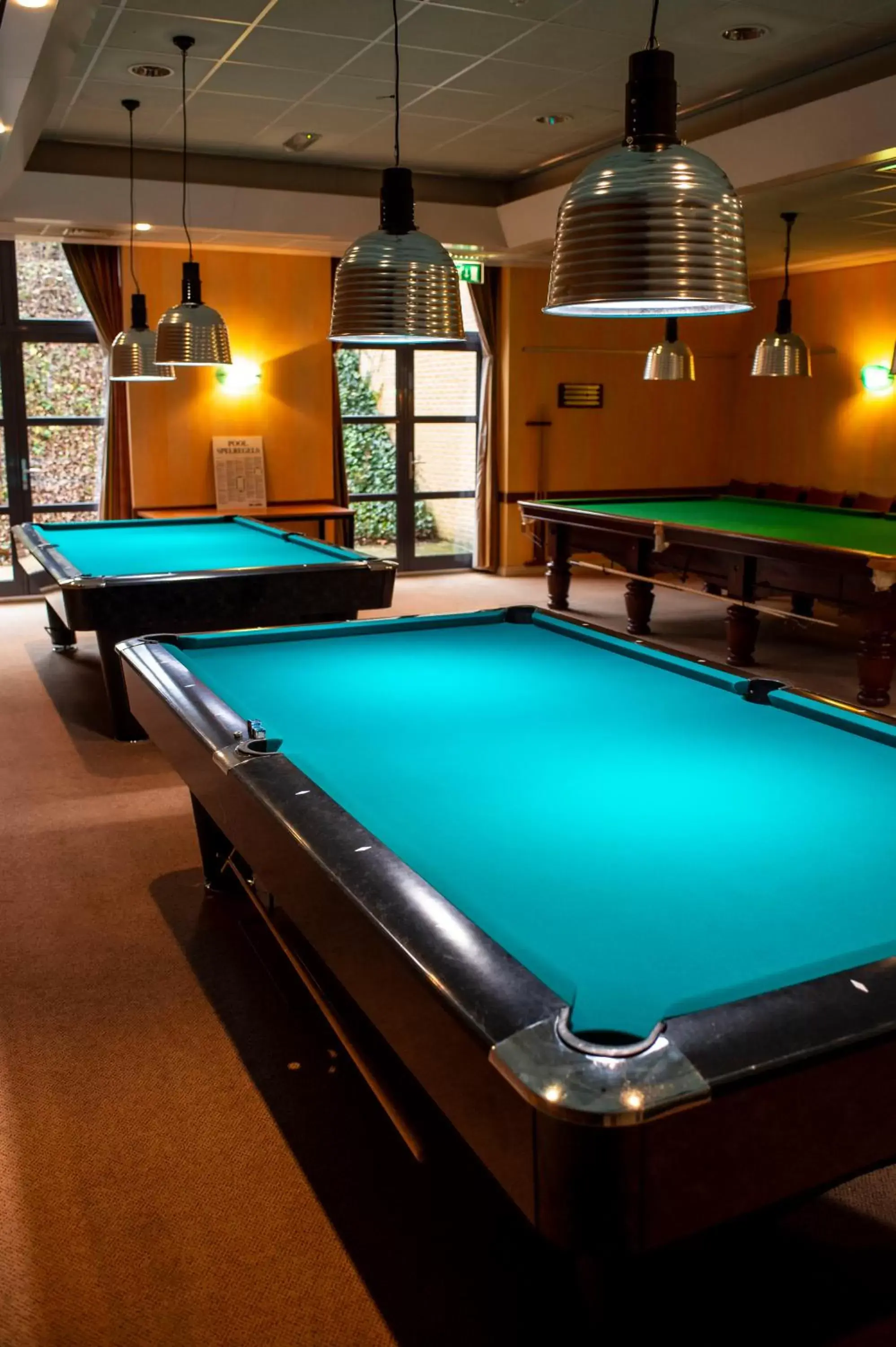 Billiard, Billiards in Heerlickheijd van Ermelo