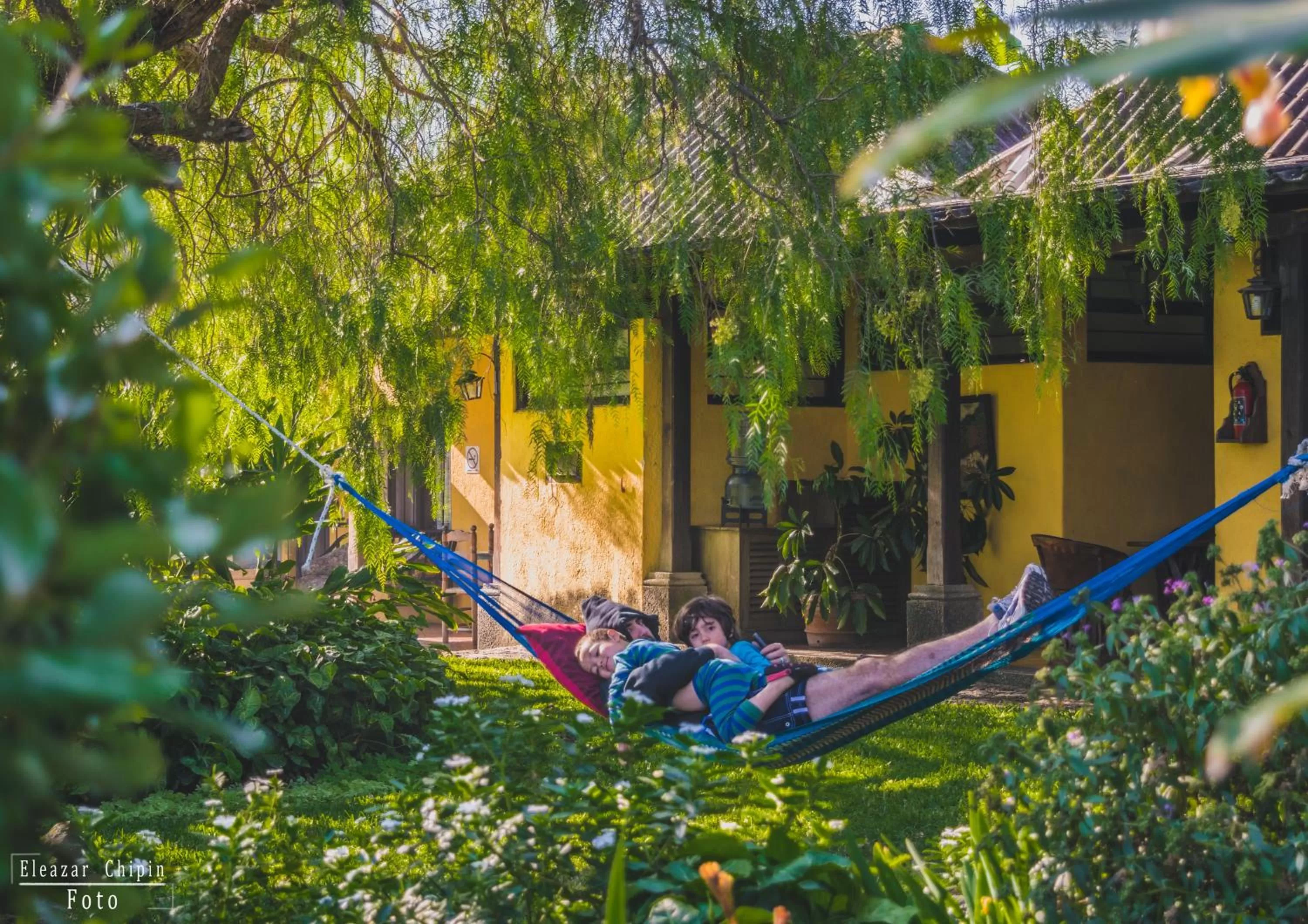 Garden in Hotel Toliman