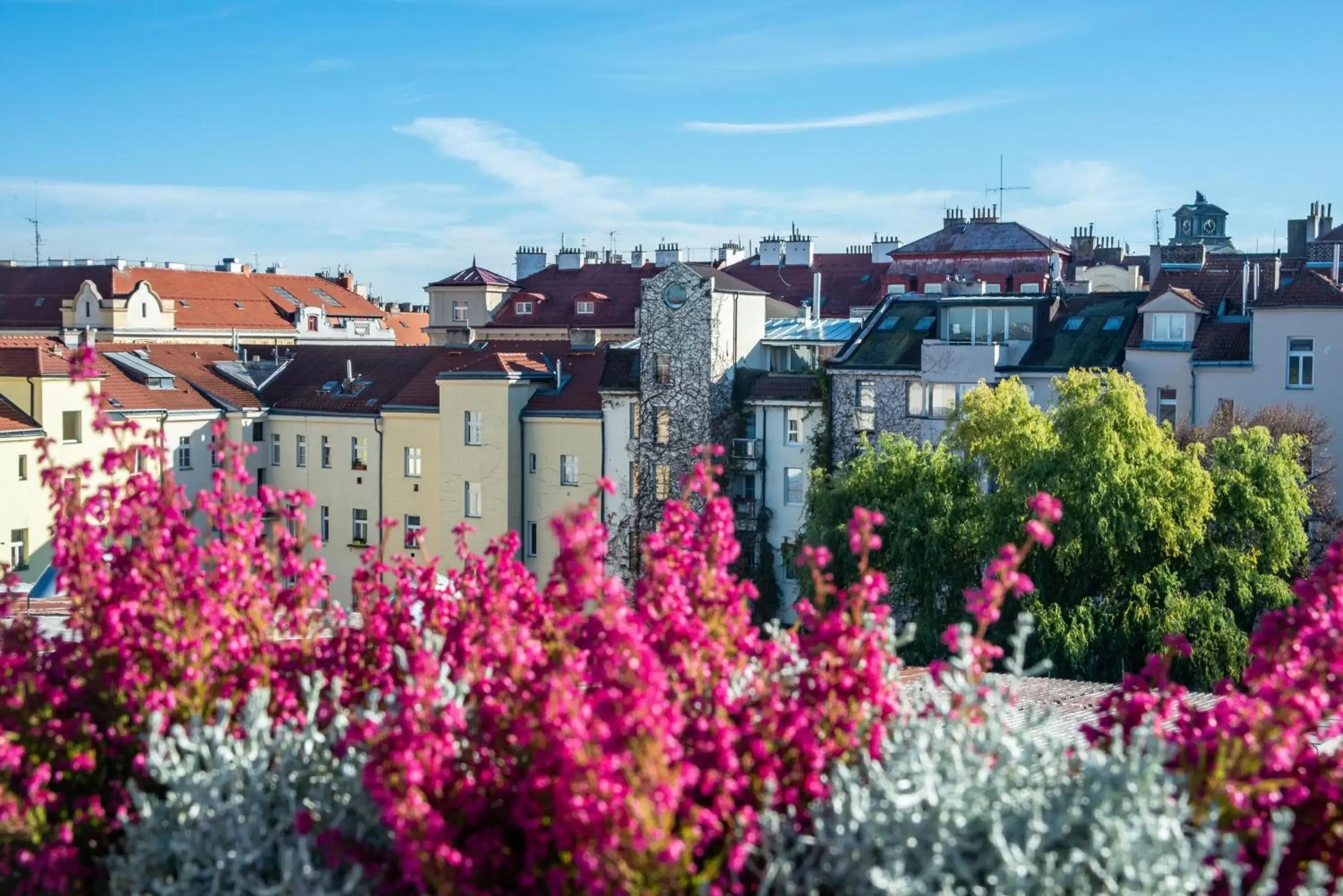 Balcony/Terrace in Art Hotel Prague