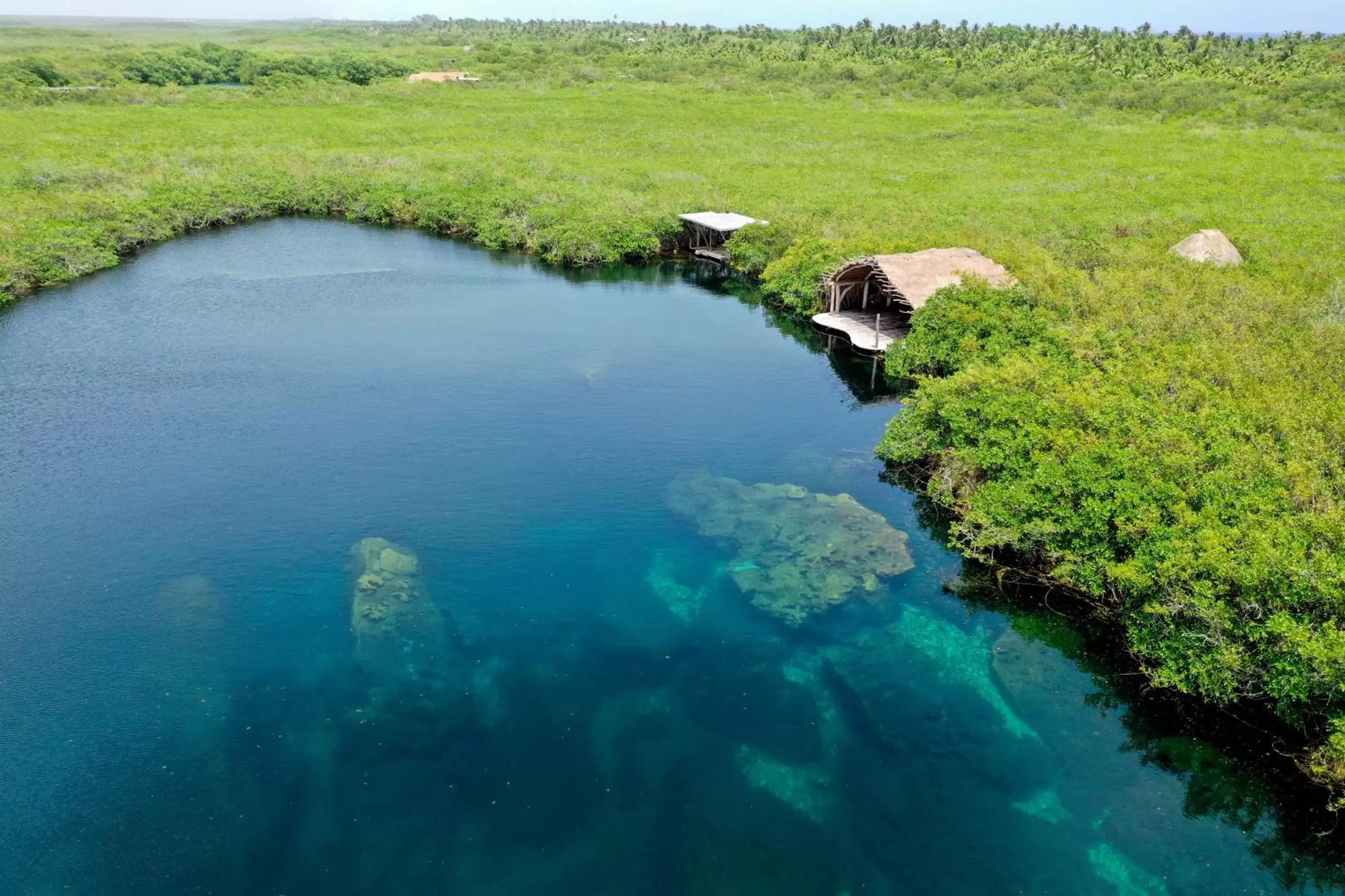 Natural landscape, Bird's-eye View in Cormoran Boutique Hotel & Private Cenote Tulum