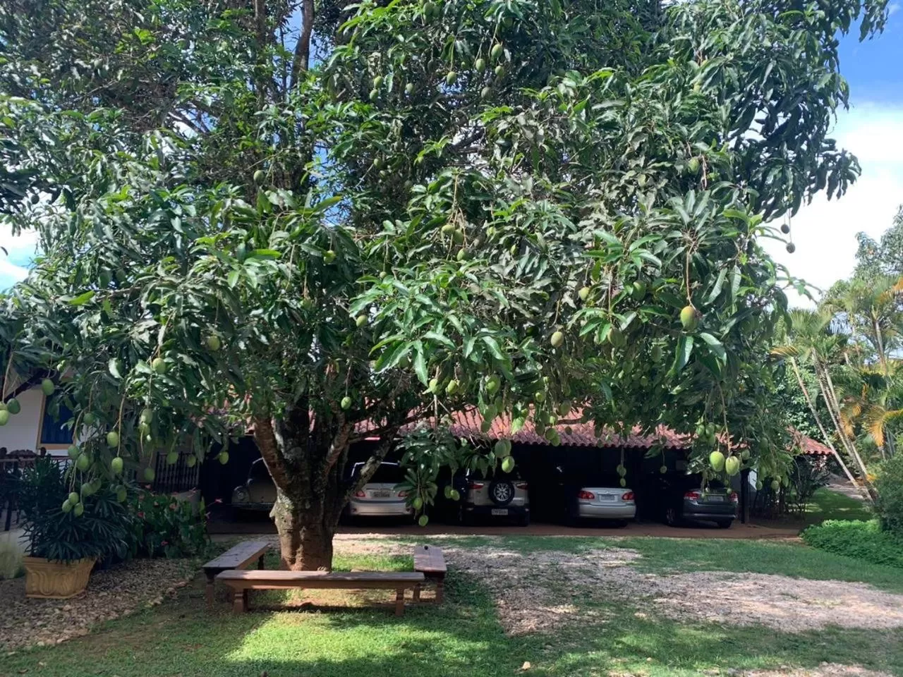 Garden view in Pousada Villa Real