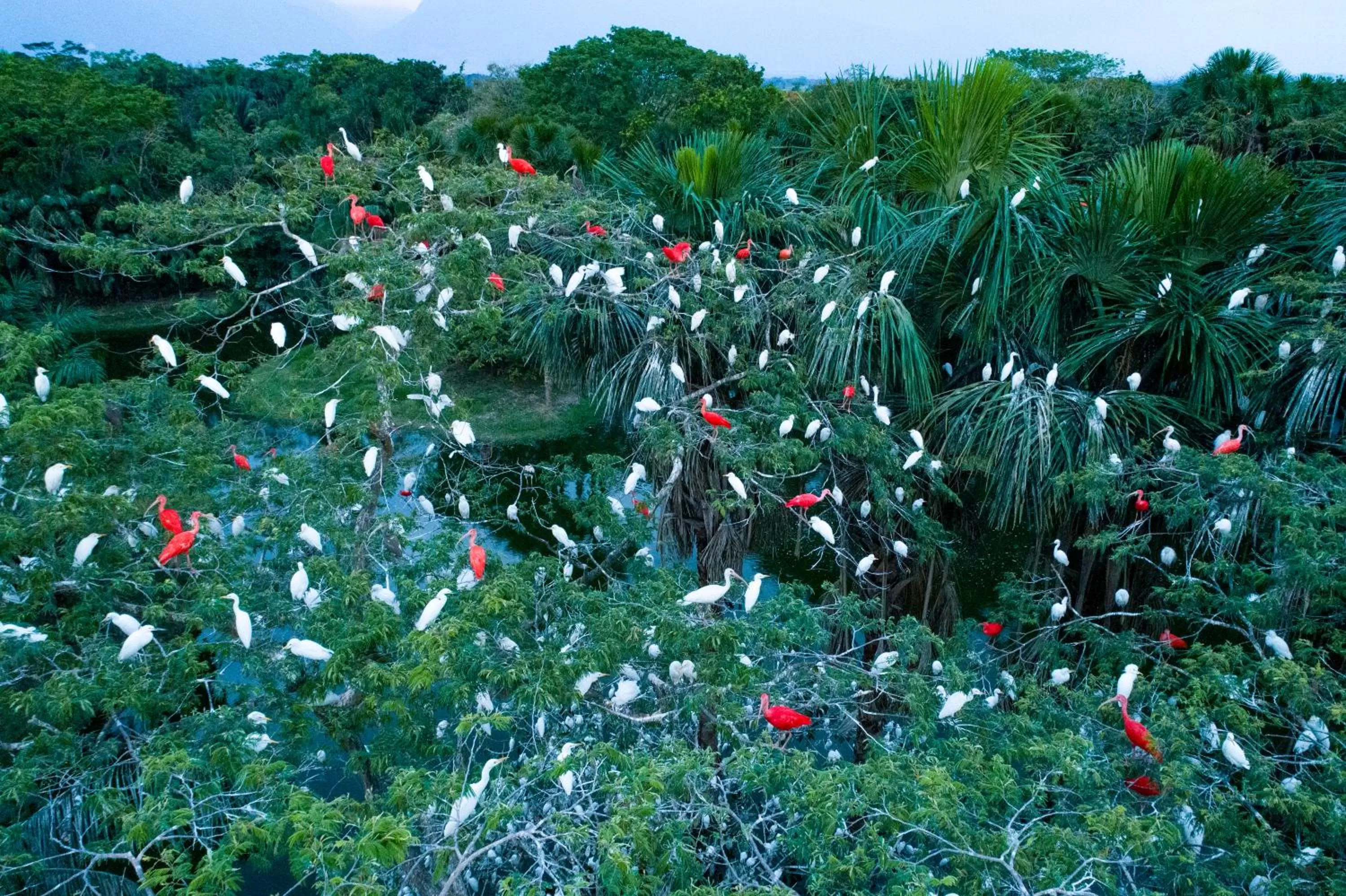 Natural landscape in Ecolodge Cosmogénesis