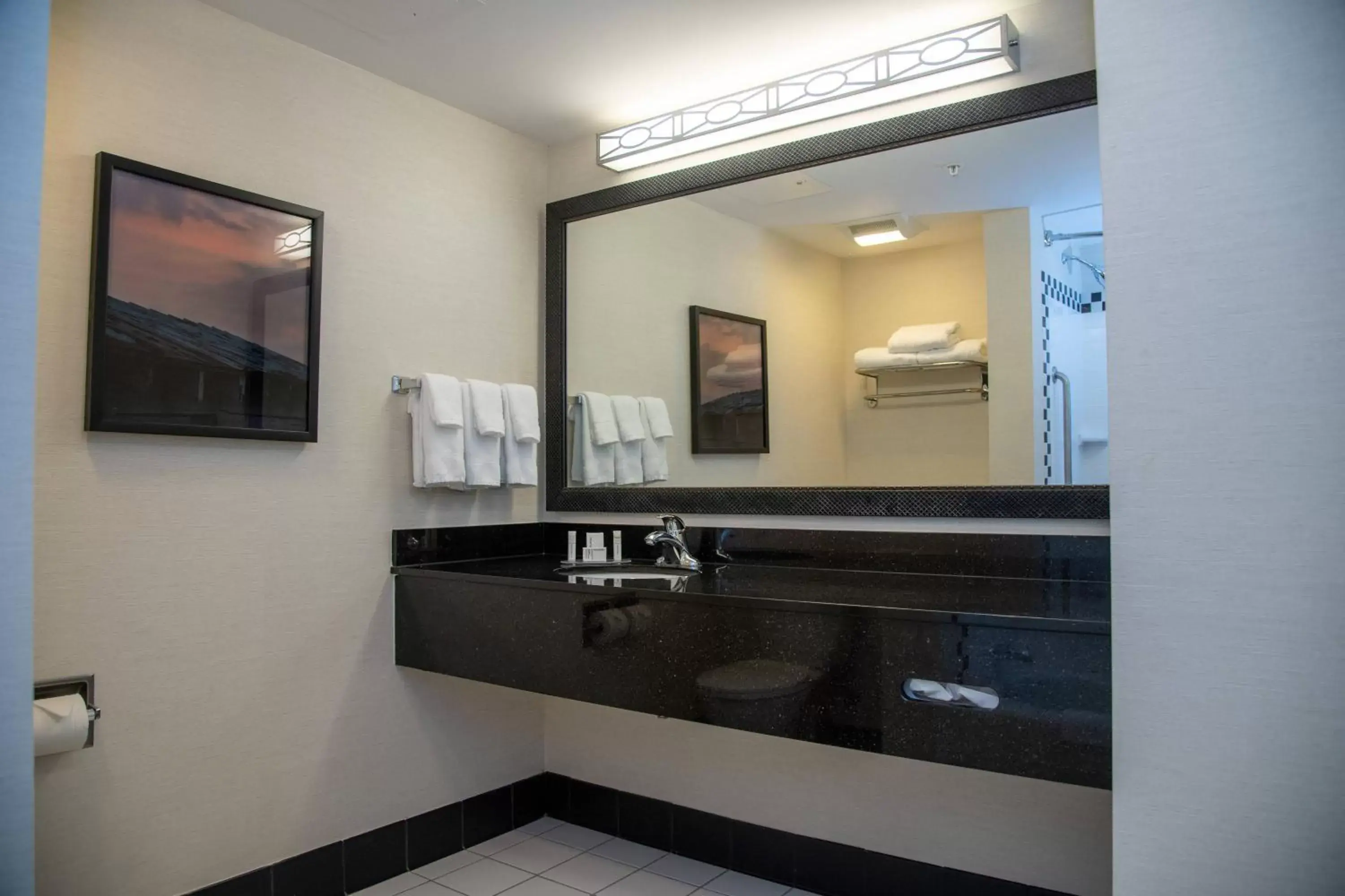 Bathroom in Fairfield Inn & Suites Lewisburg