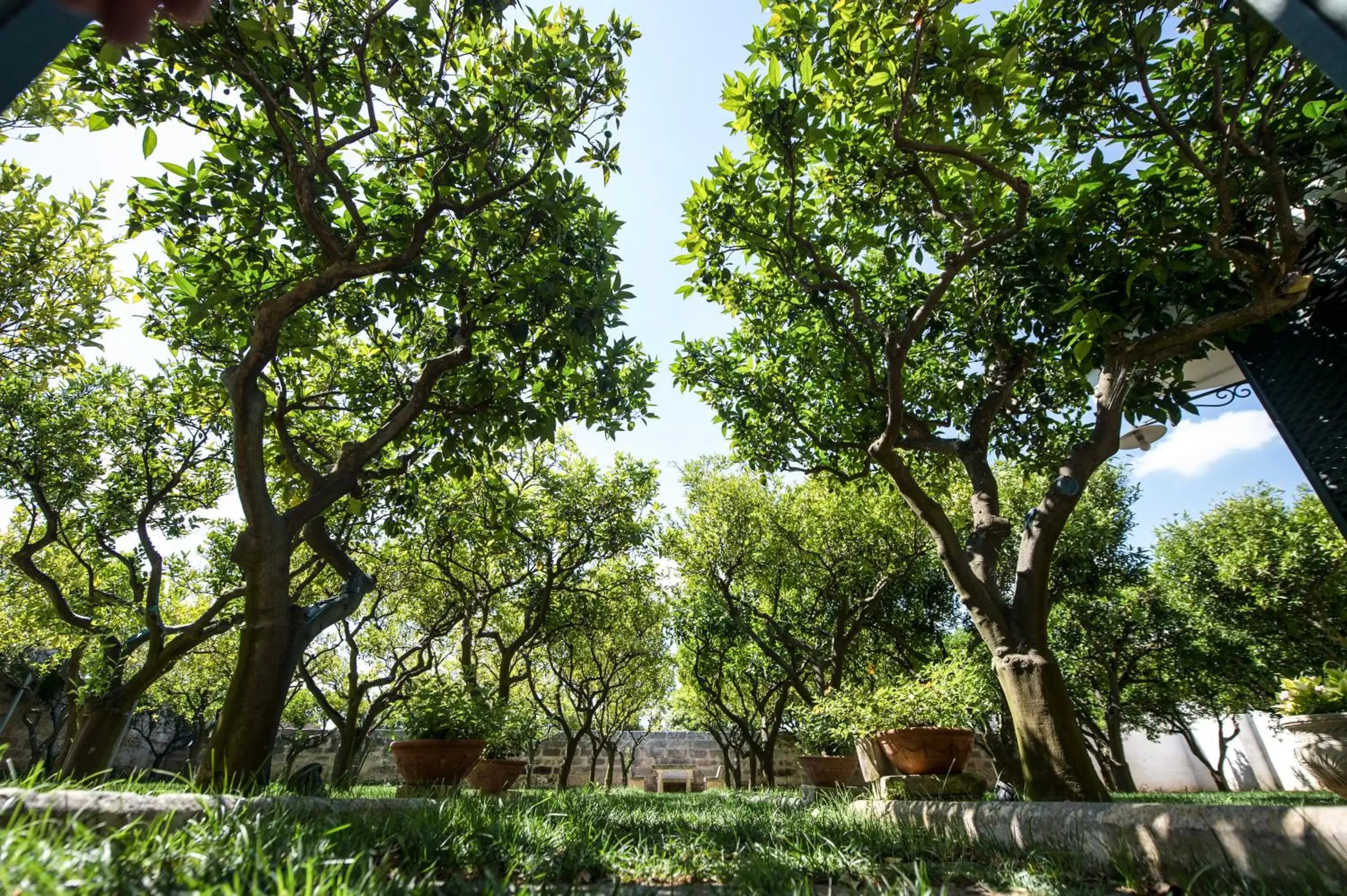 Garden in Parco Degli Aranci