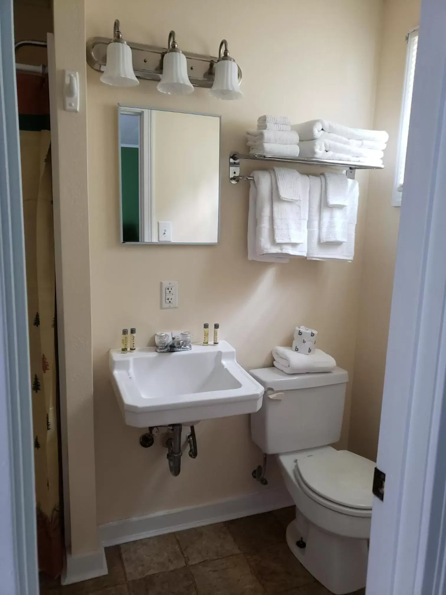 Bathroom in Blue Ridge Motel