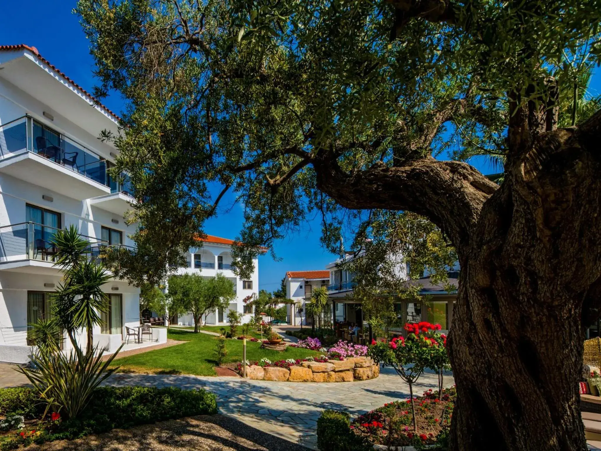 Property building, Garden in Flegra Palace