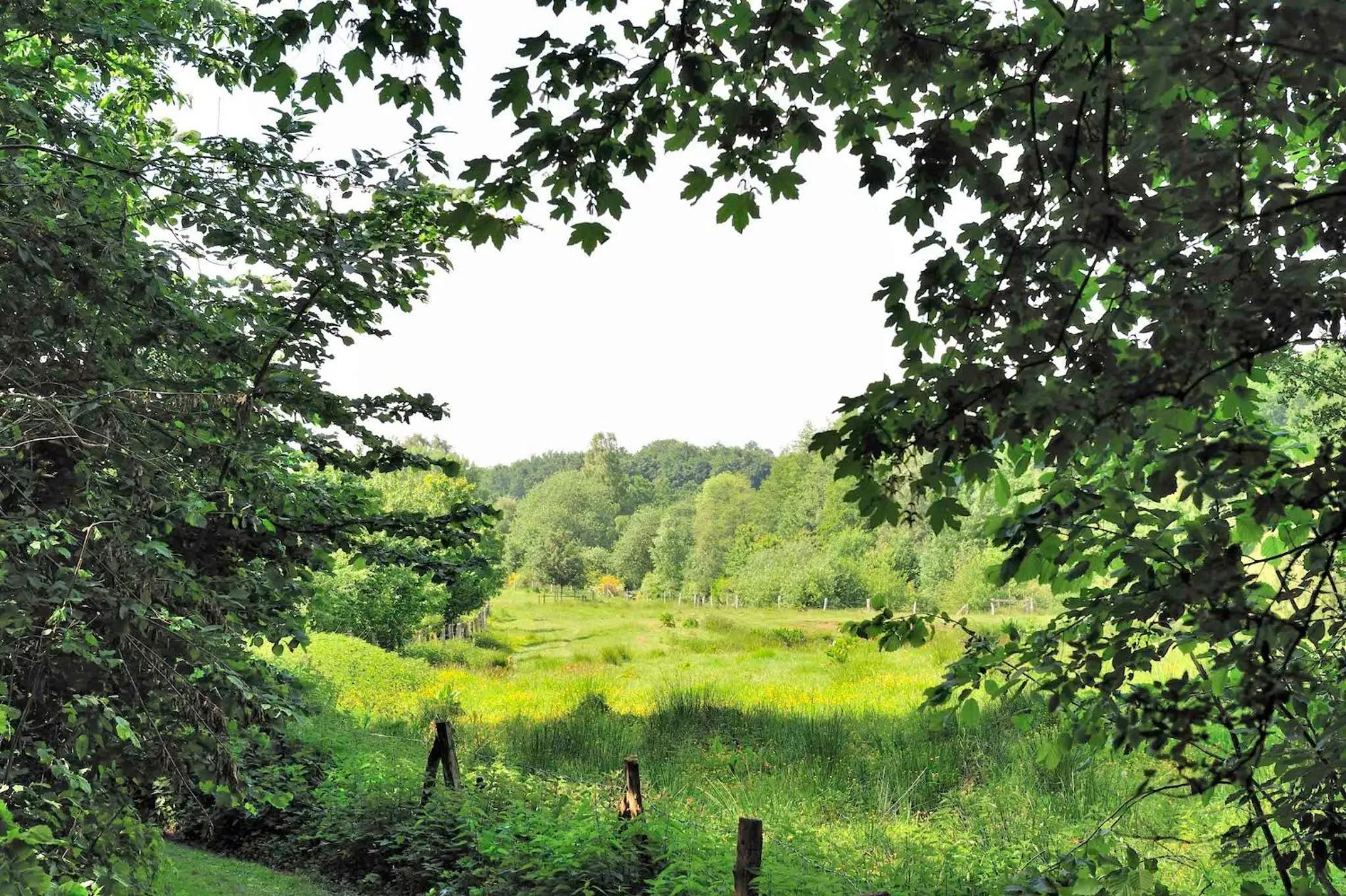 Natural landscape in Lindenhof Hotel Tepe