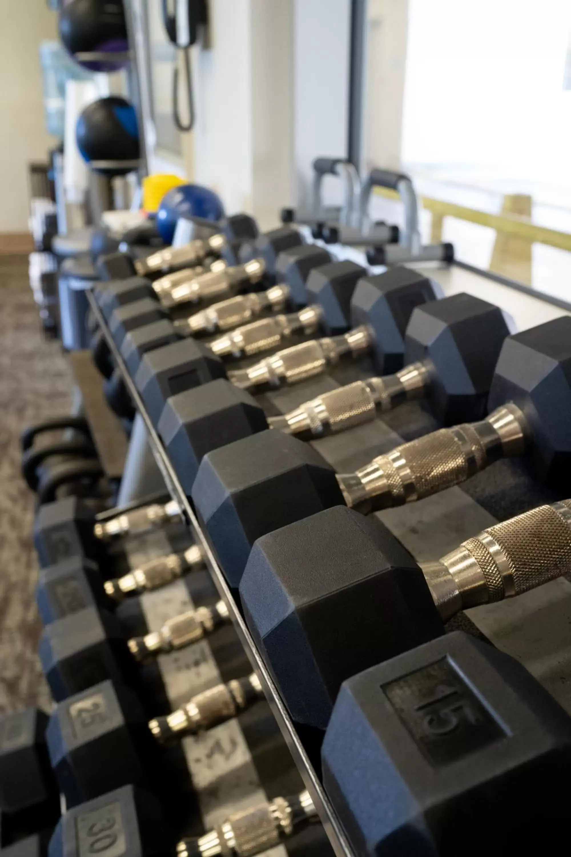 Fitness centre/facilities, Fitness Center/Facilities in Waikiki Malia