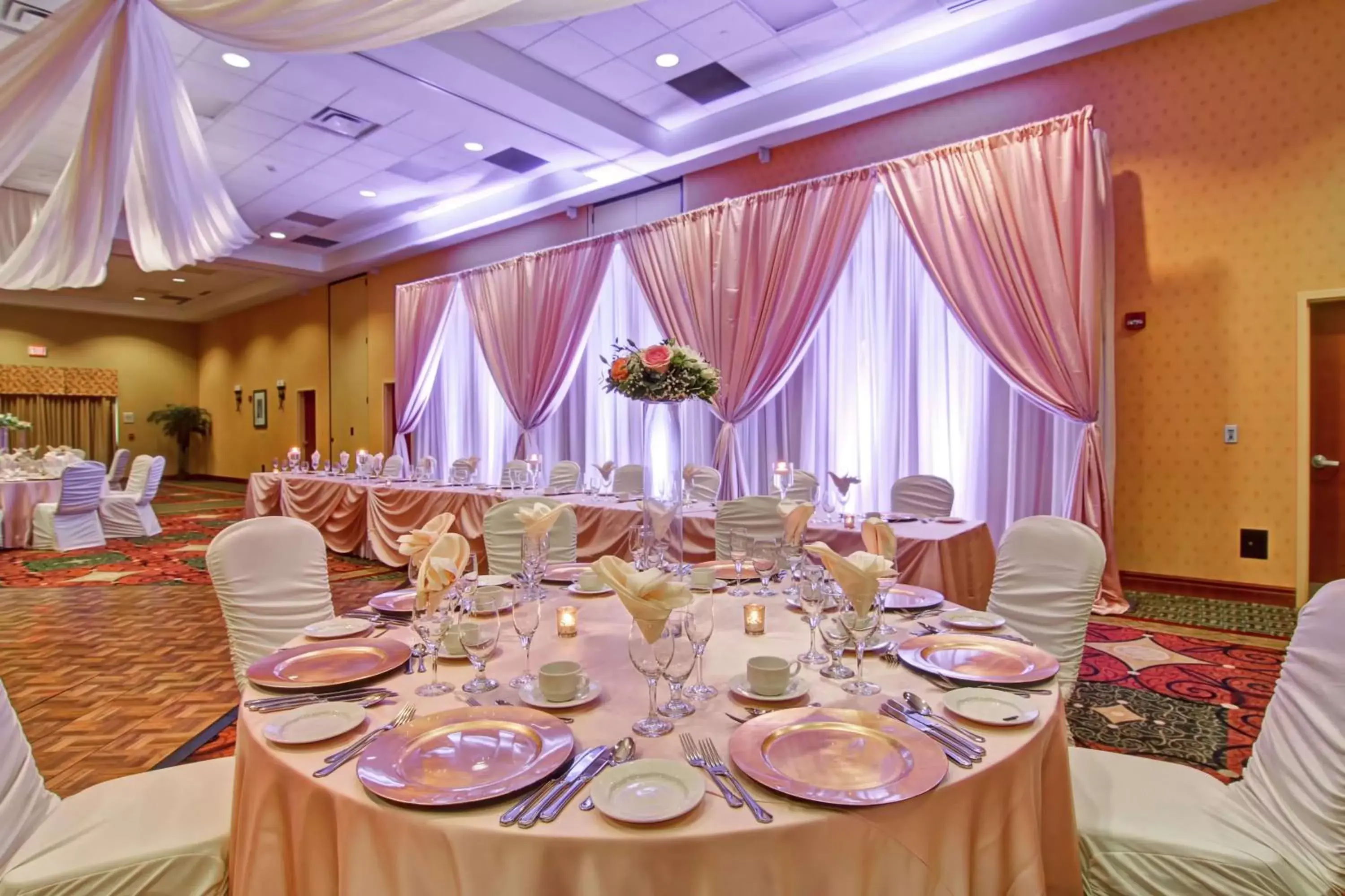 Meeting/conference room, Banquet Facilities in Hilton Garden Inn Ottawa Airport
