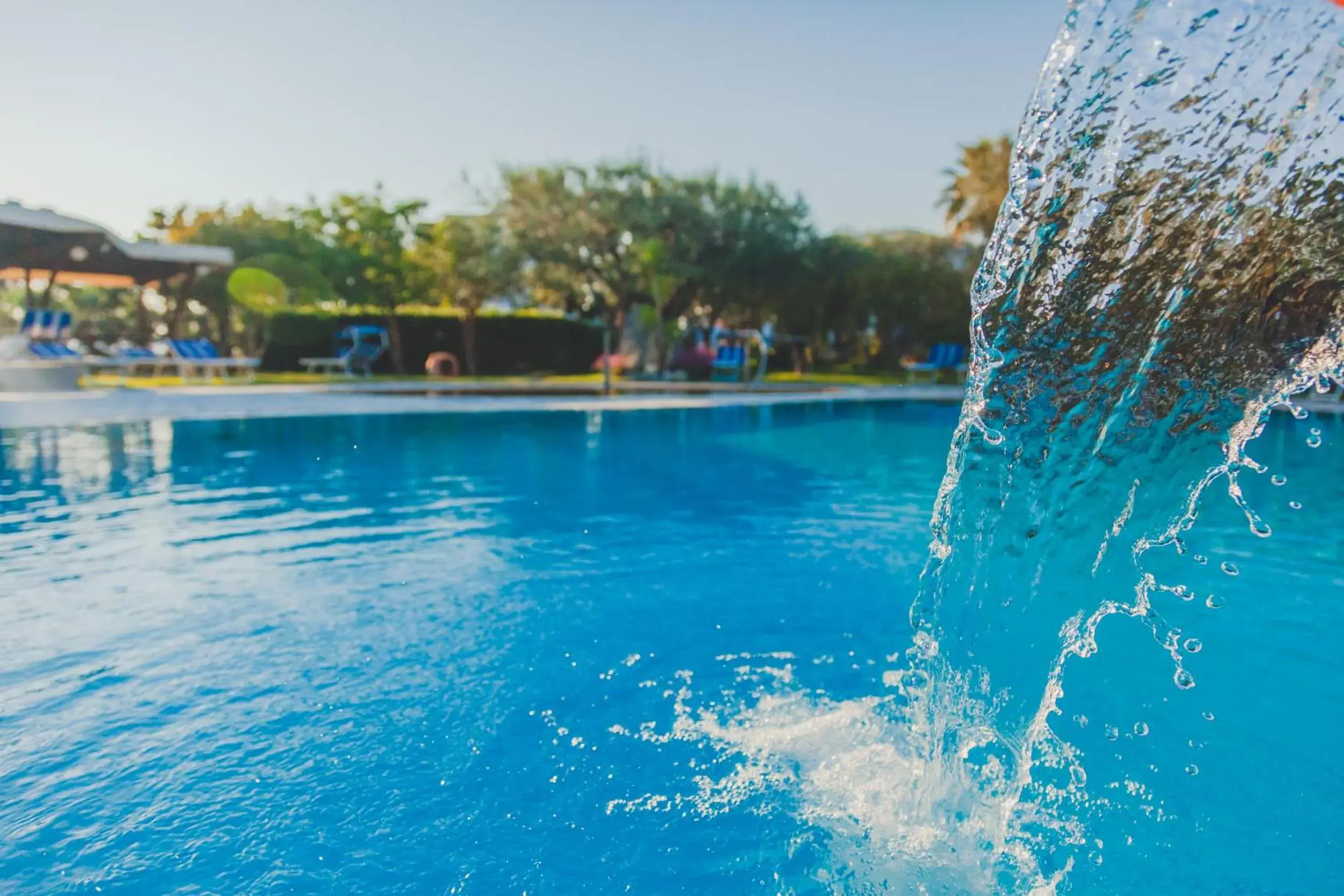 Garden, Swimming Pool in Hotel Ideal