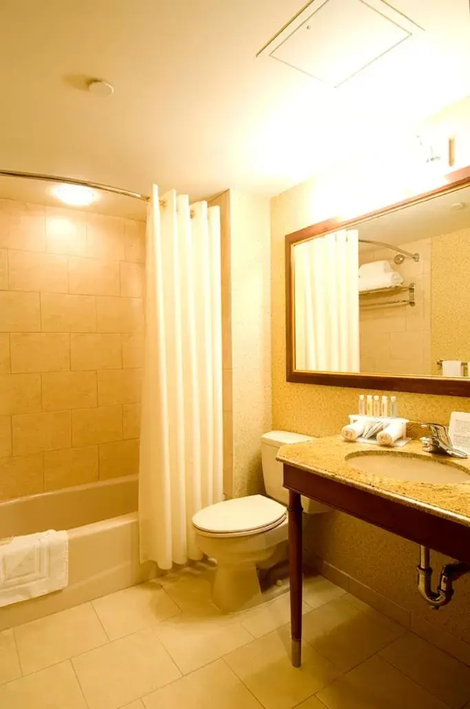 Bathroom in Rockville Centre Hotel