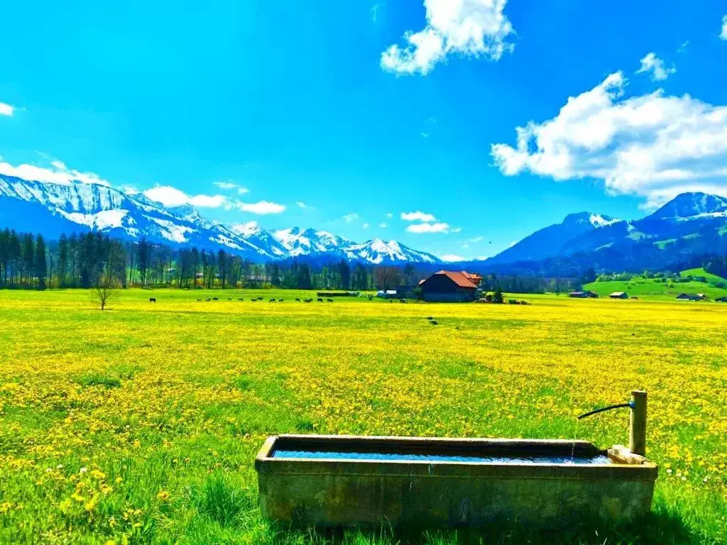 Natural landscape in Hôtel de Ville