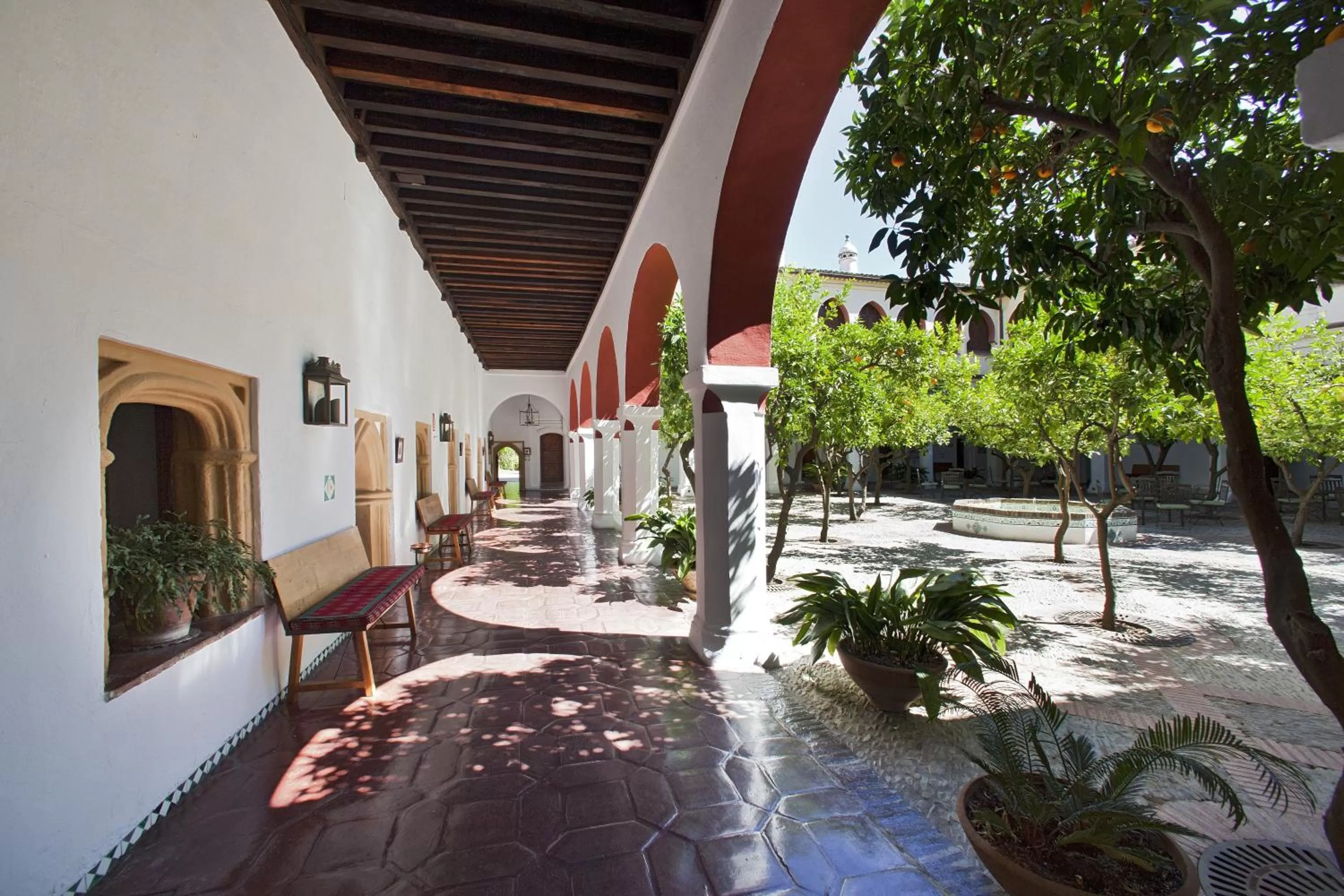 Spring in Parador de Guadalupe