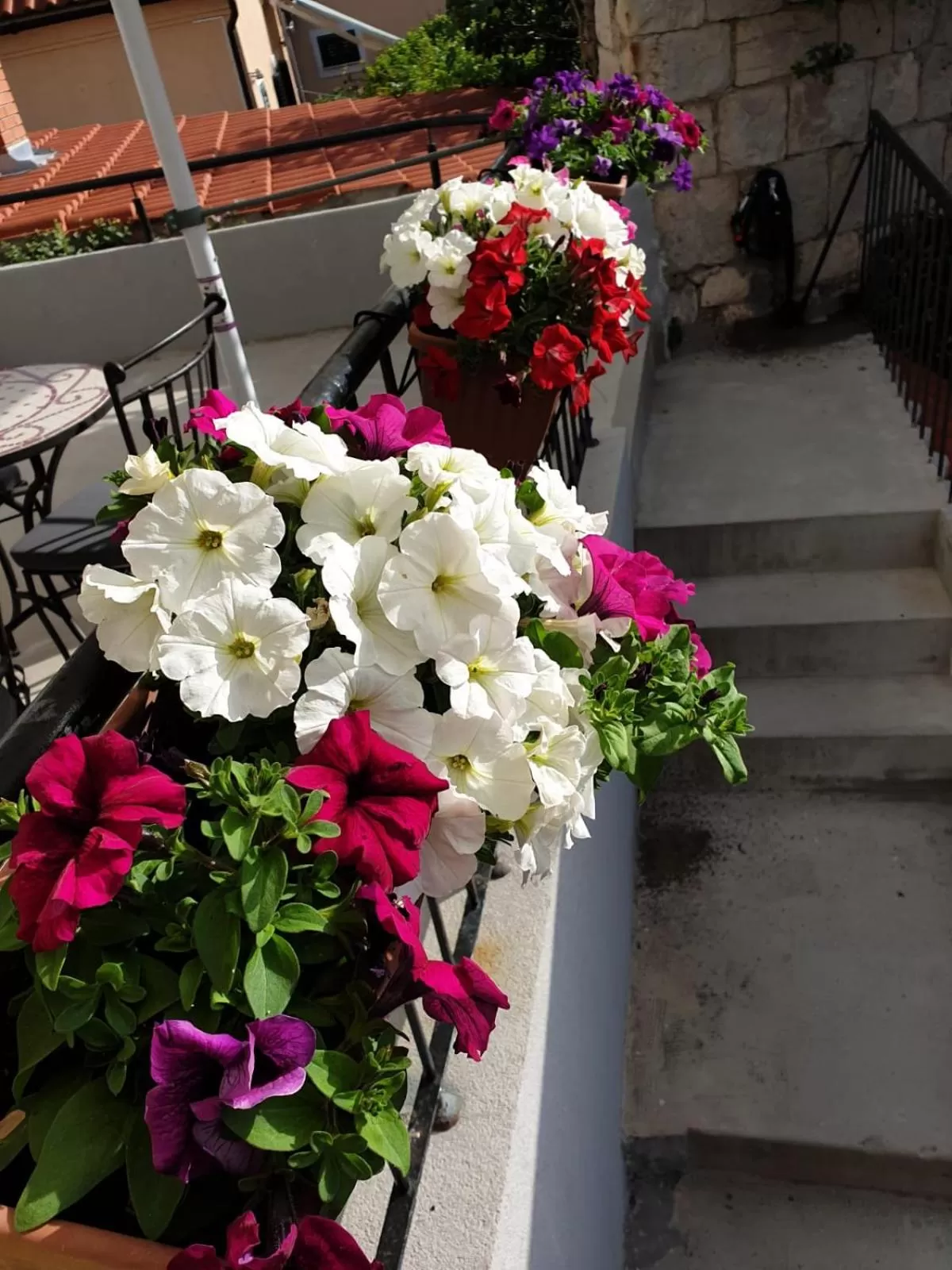 Balcony/Terrace in Golden B&B