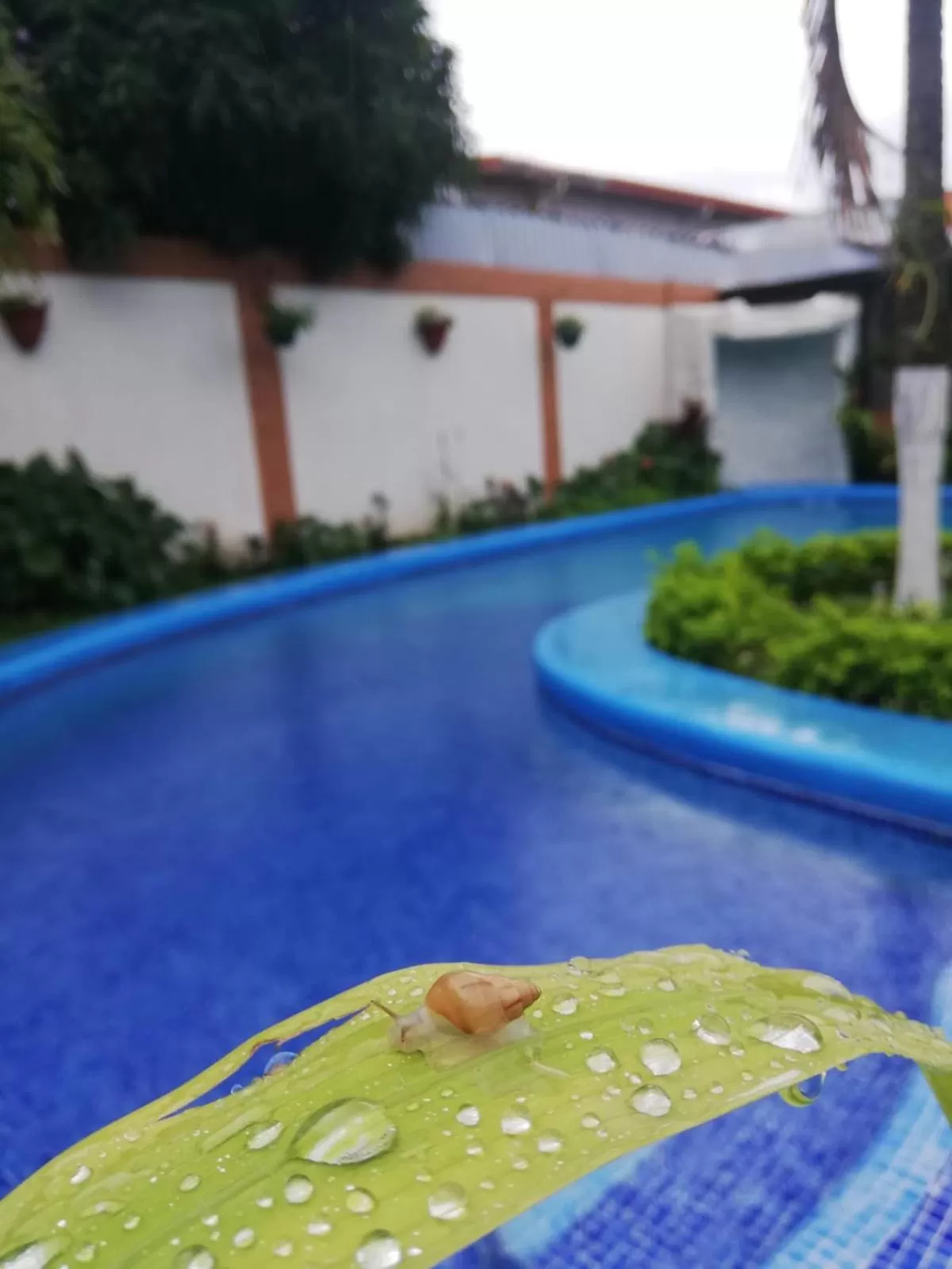 Swimming pool in Berlor Airport Inn