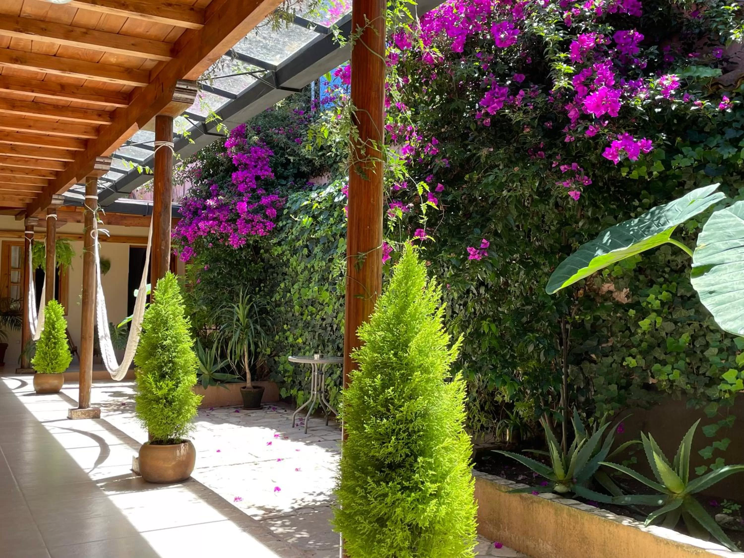 Patio in Casa Azabache