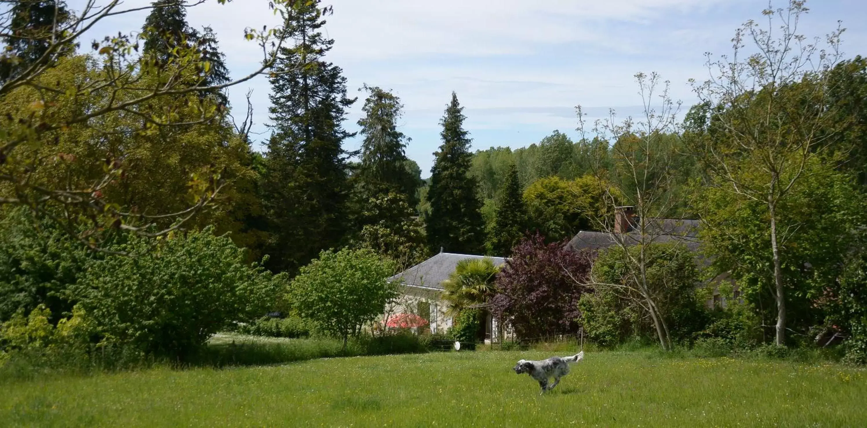 Garden in La Barillerie