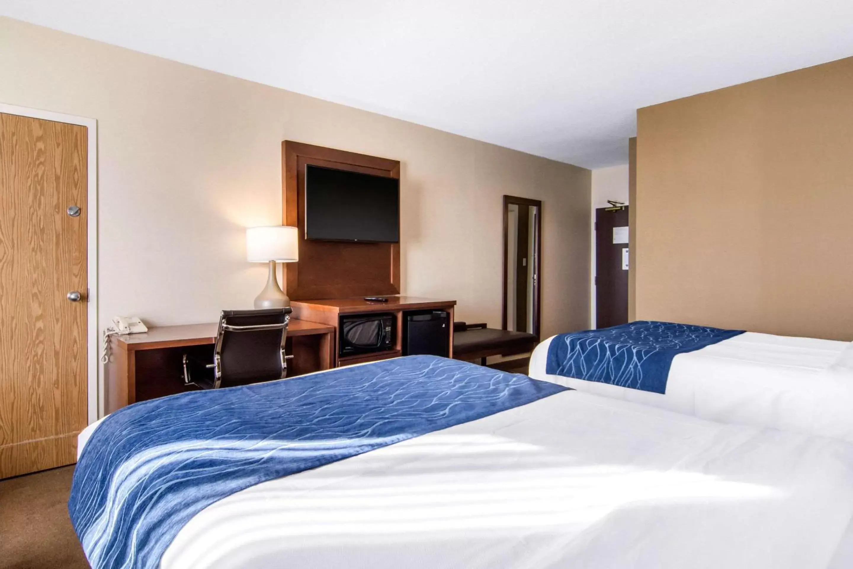 Photo of the whole room, Bed in Comfort Inn & Suites Medicine Hat