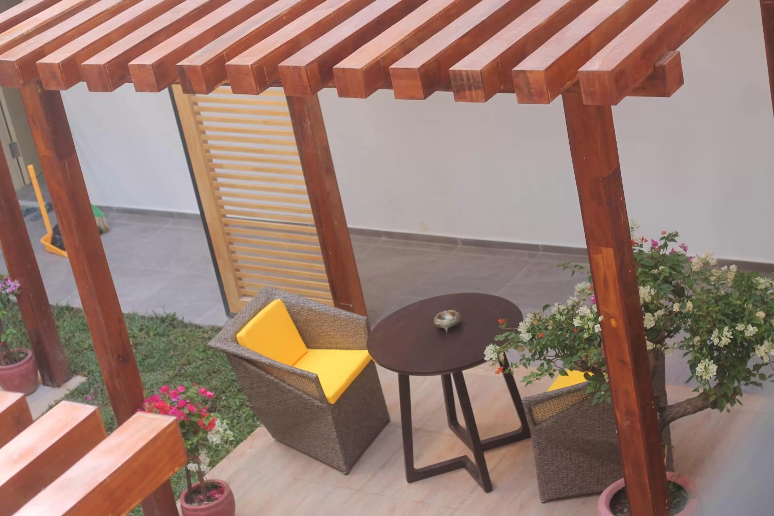 Garden in Benny's City Hotel