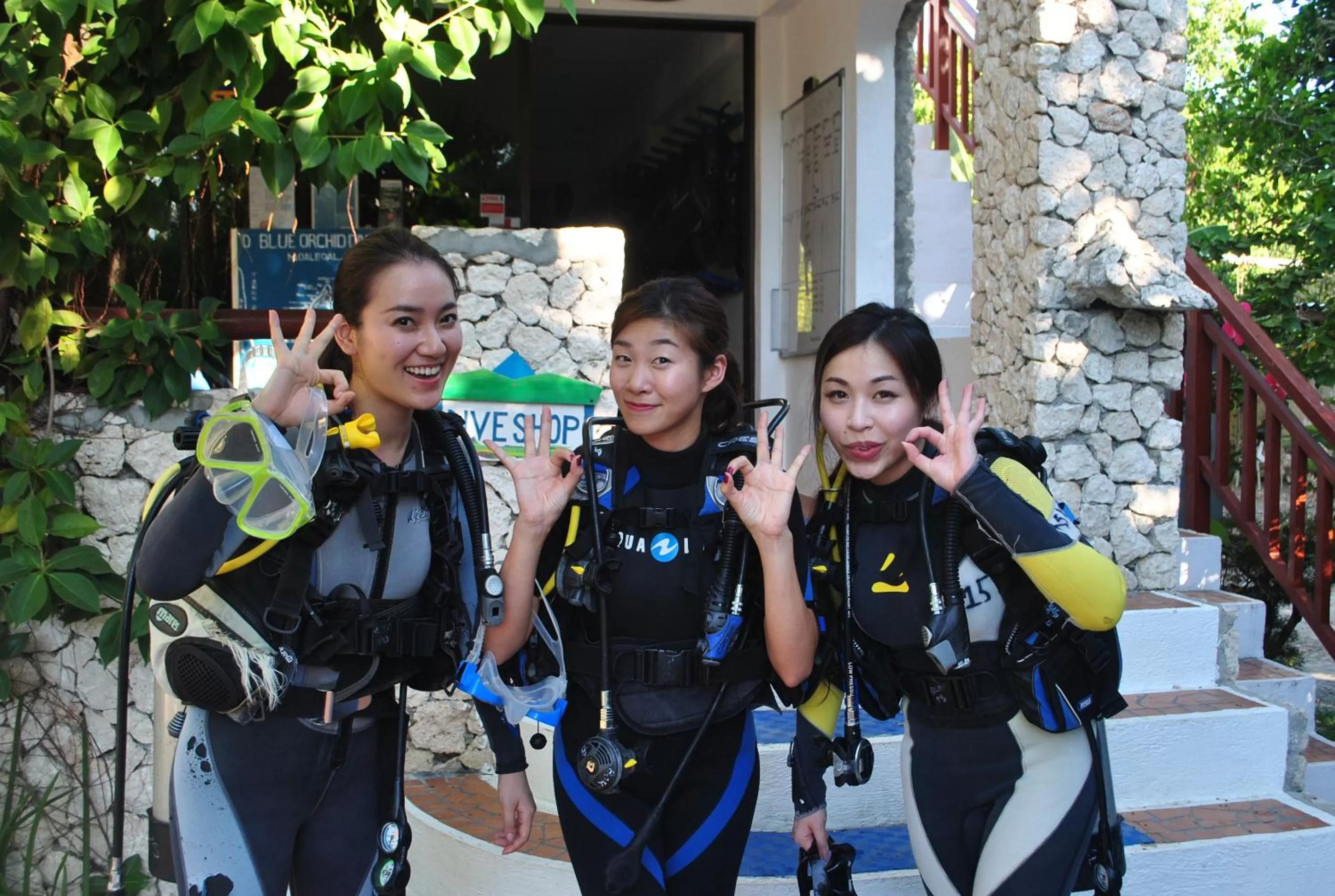Diving in The Blue Orchid Resort