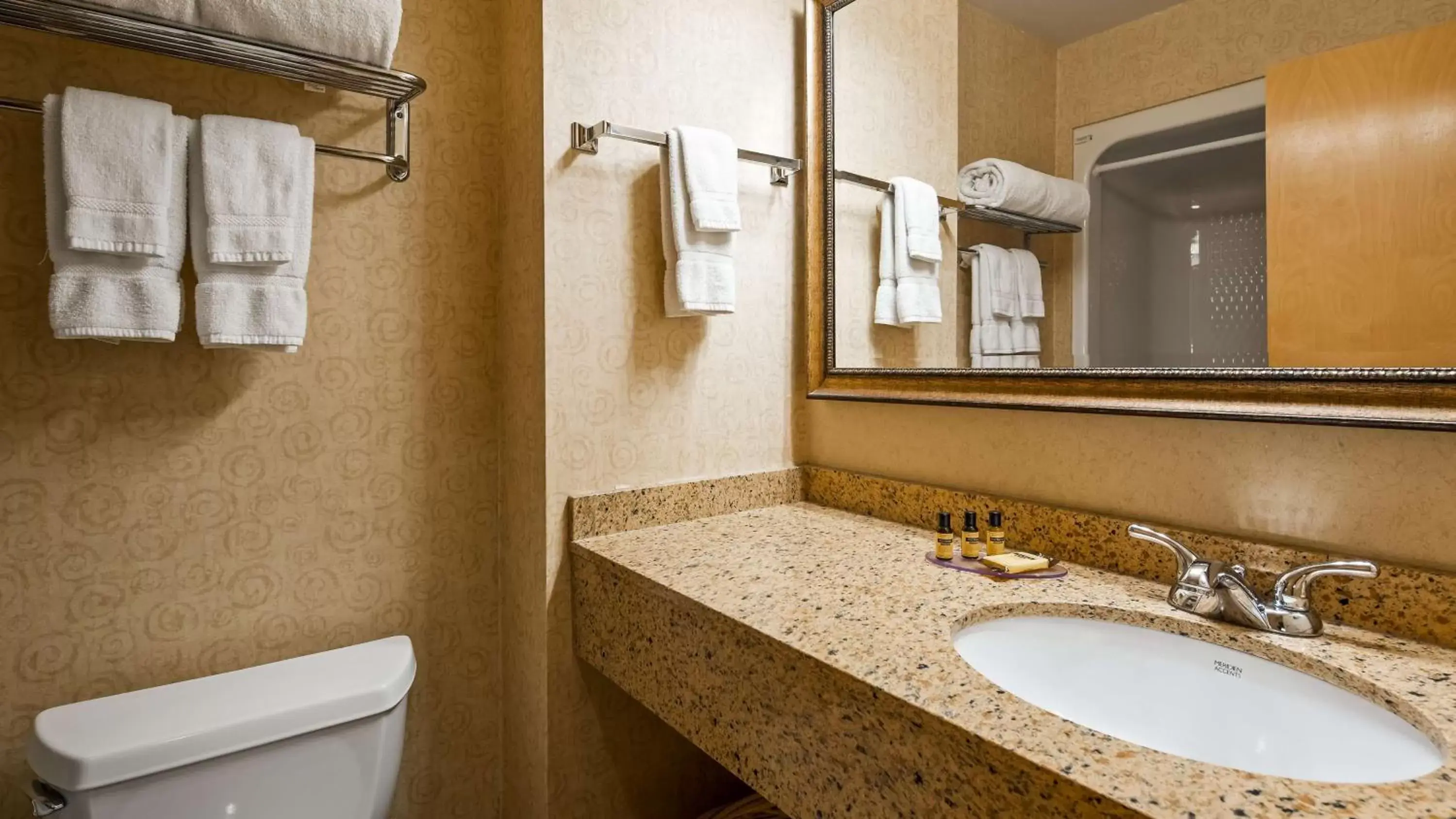 Bathroom in Best Western PLUS Revere Inn & Suites