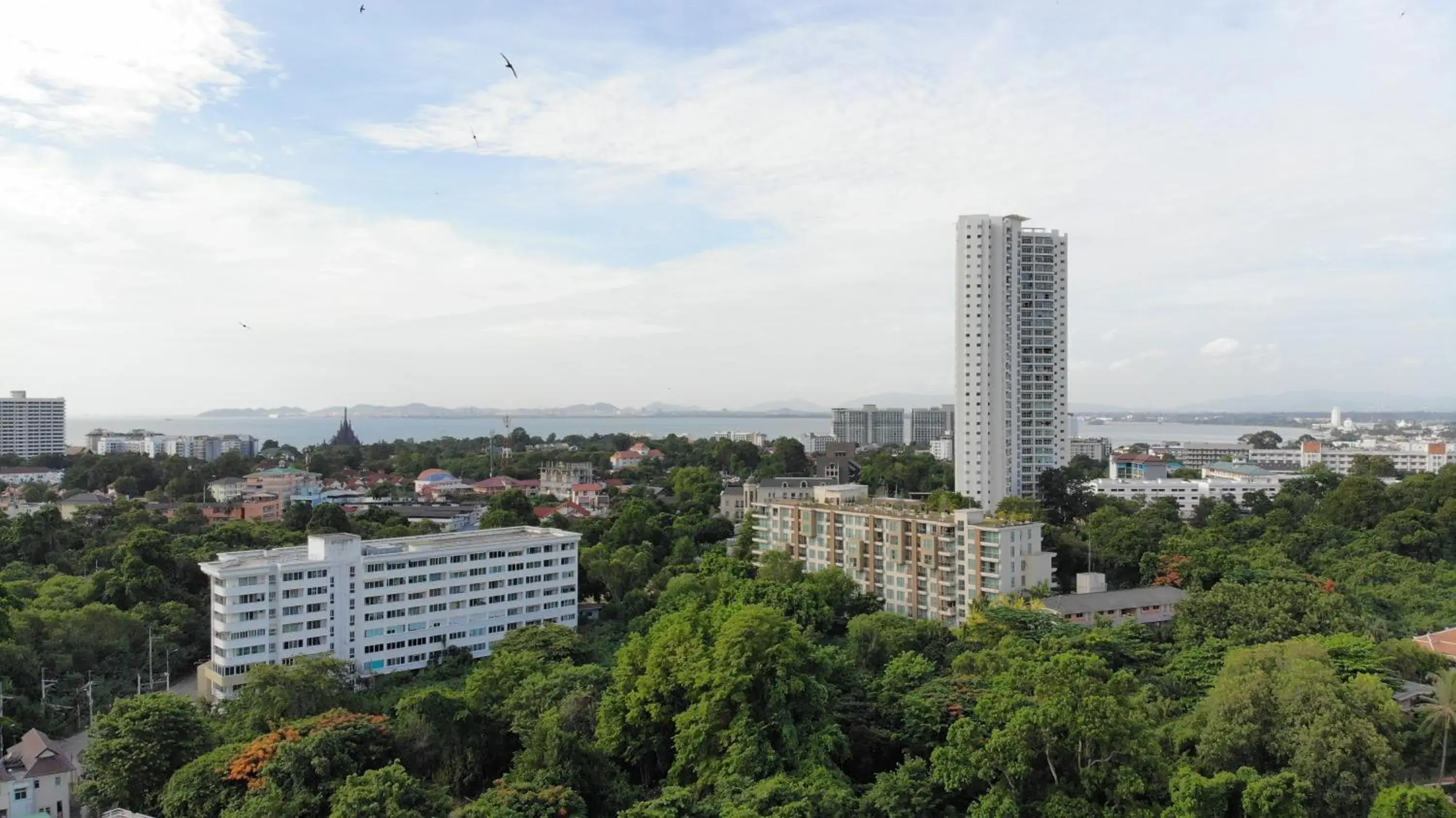 View (from property/room) in Wongamat Privacy Residence, Pattaya