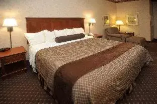 Bed in Best Western Plus Shamrock Inn & Suites