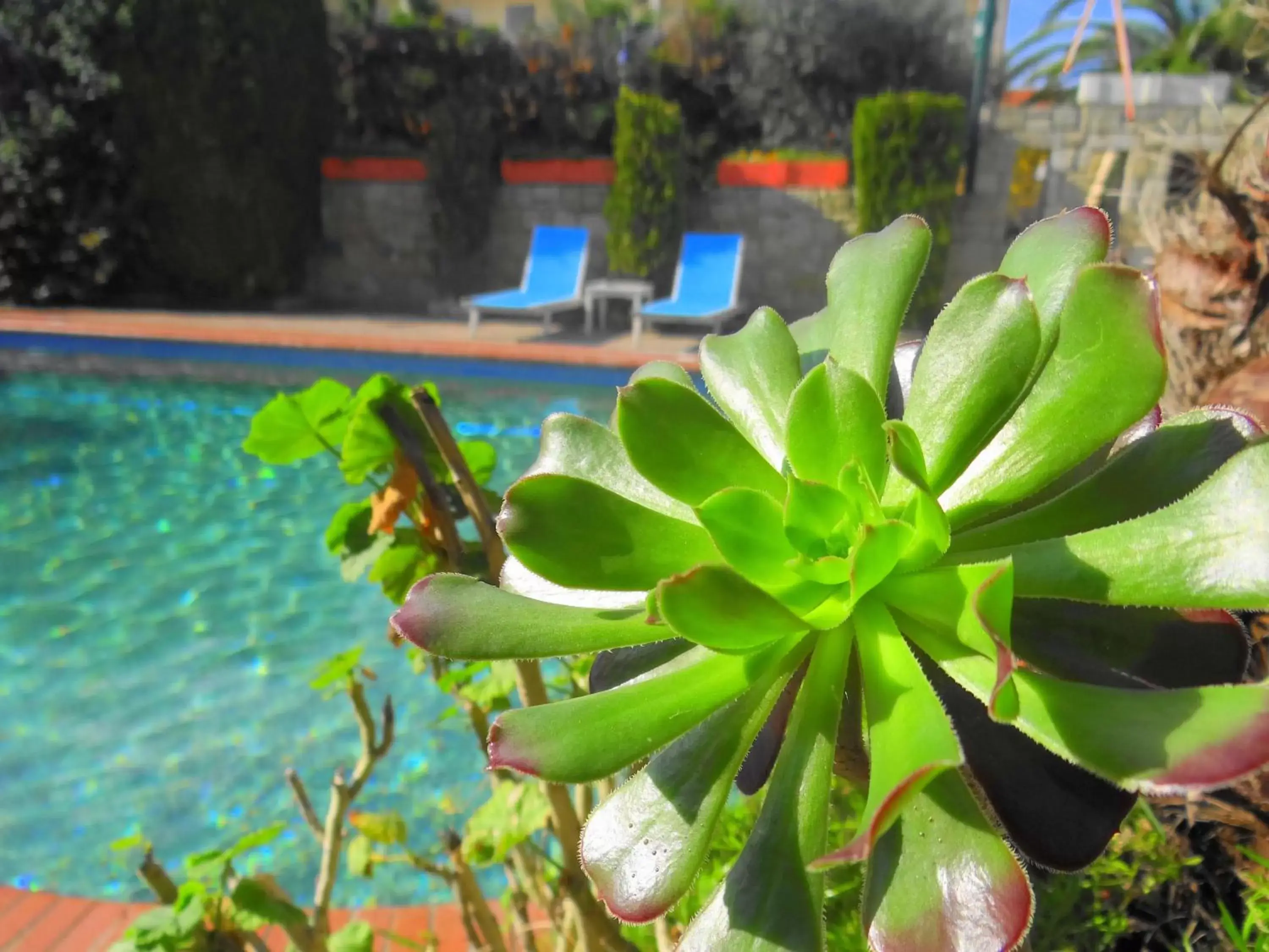 Day, Swimming Pool in Hotel Aeollos