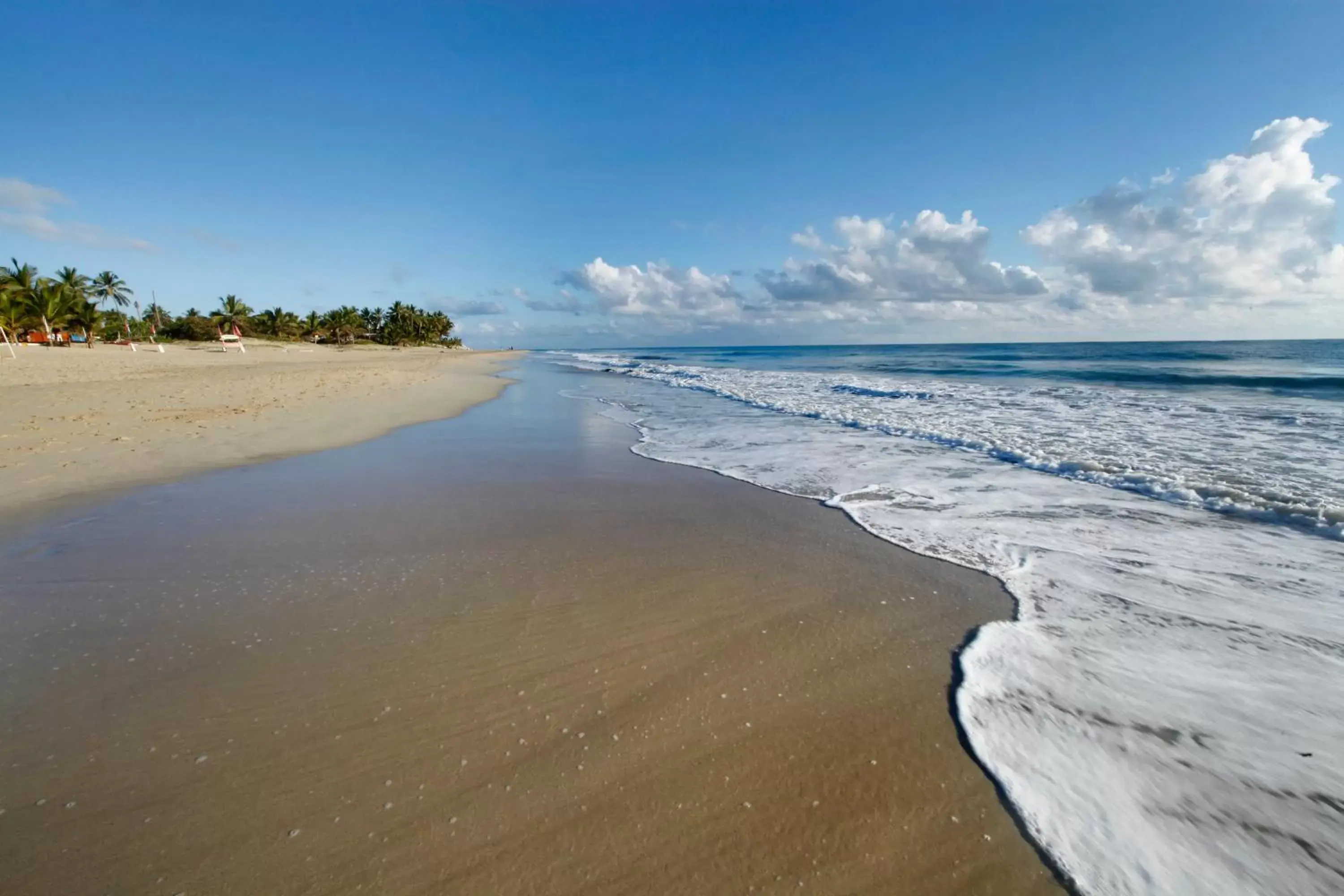 Beach in Viva Tangerine by Wyndham, A Trademark All Inclusive