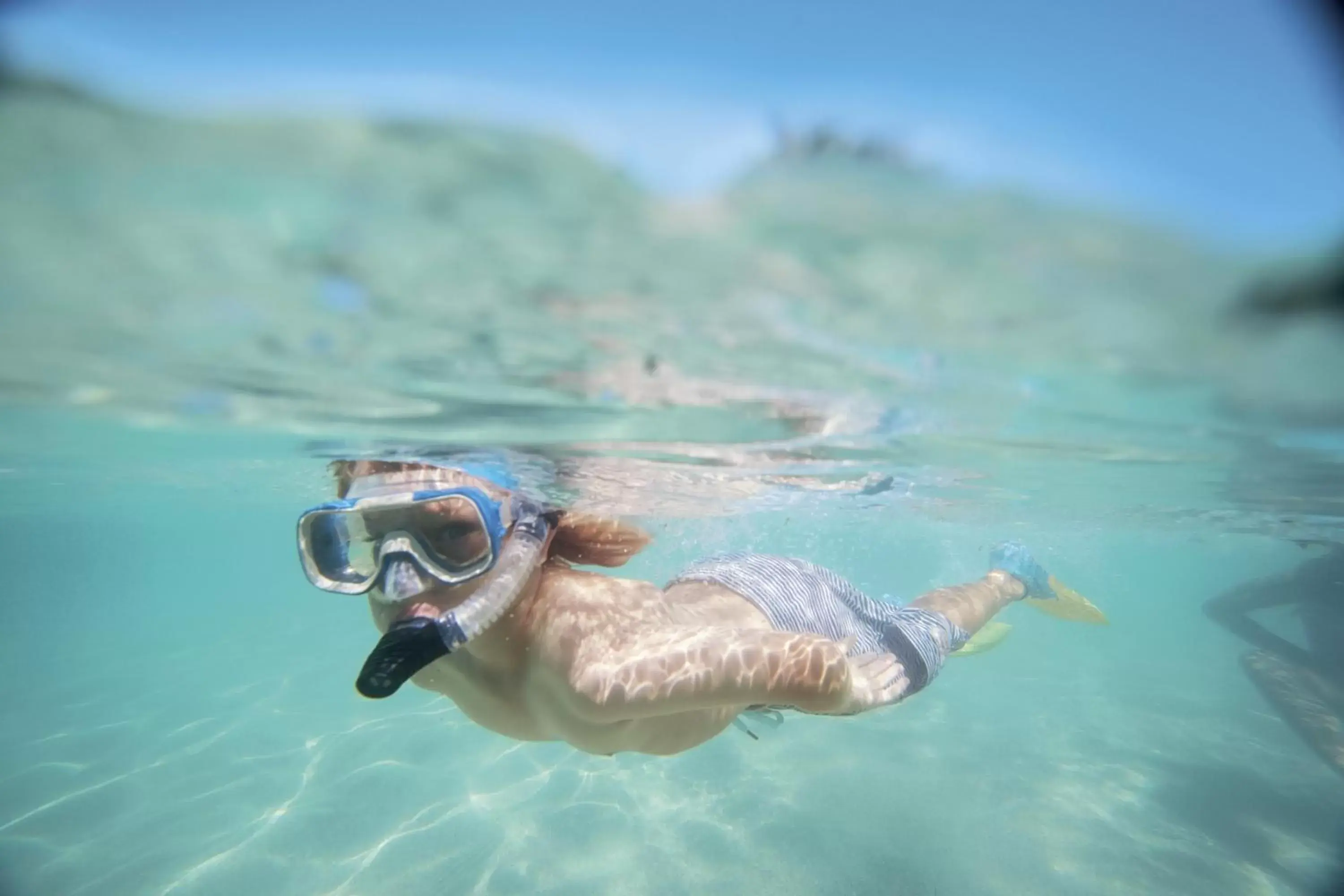 Snorkeling, Other Animals in Bay Villas Resort