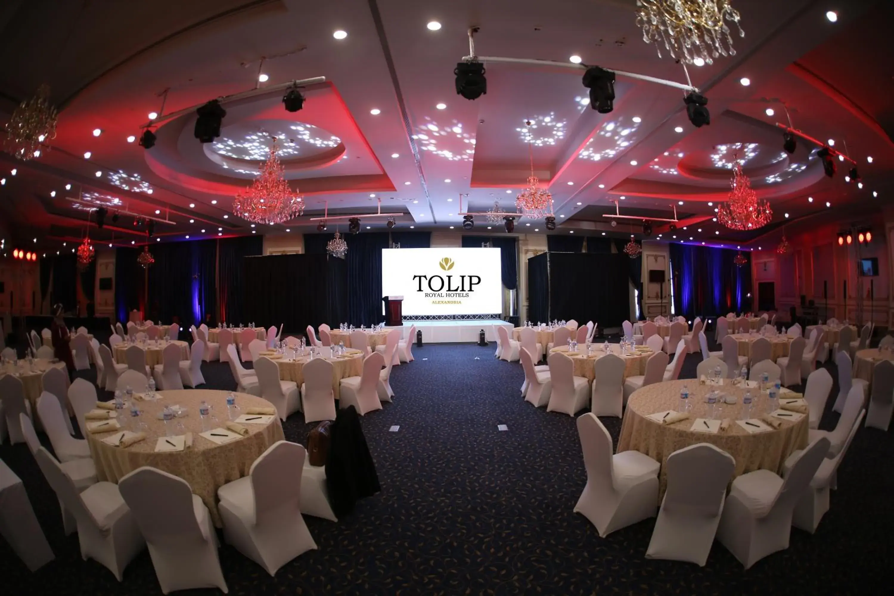 Business facilities in Tolip Hotel Alexandria